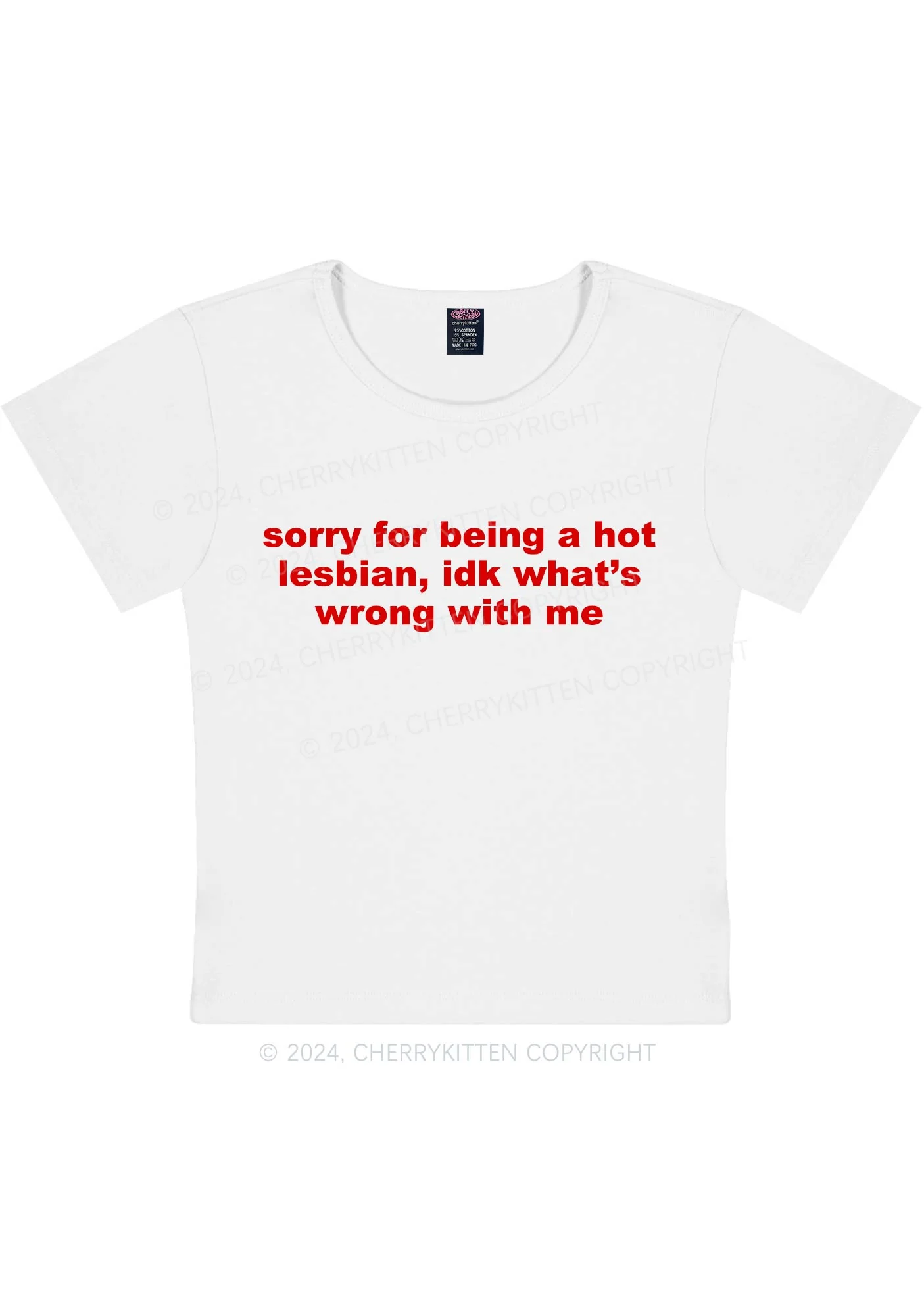 Sorry For Being Hot Lesbian Y2K Baby Tee Cherrykitten - Image 6