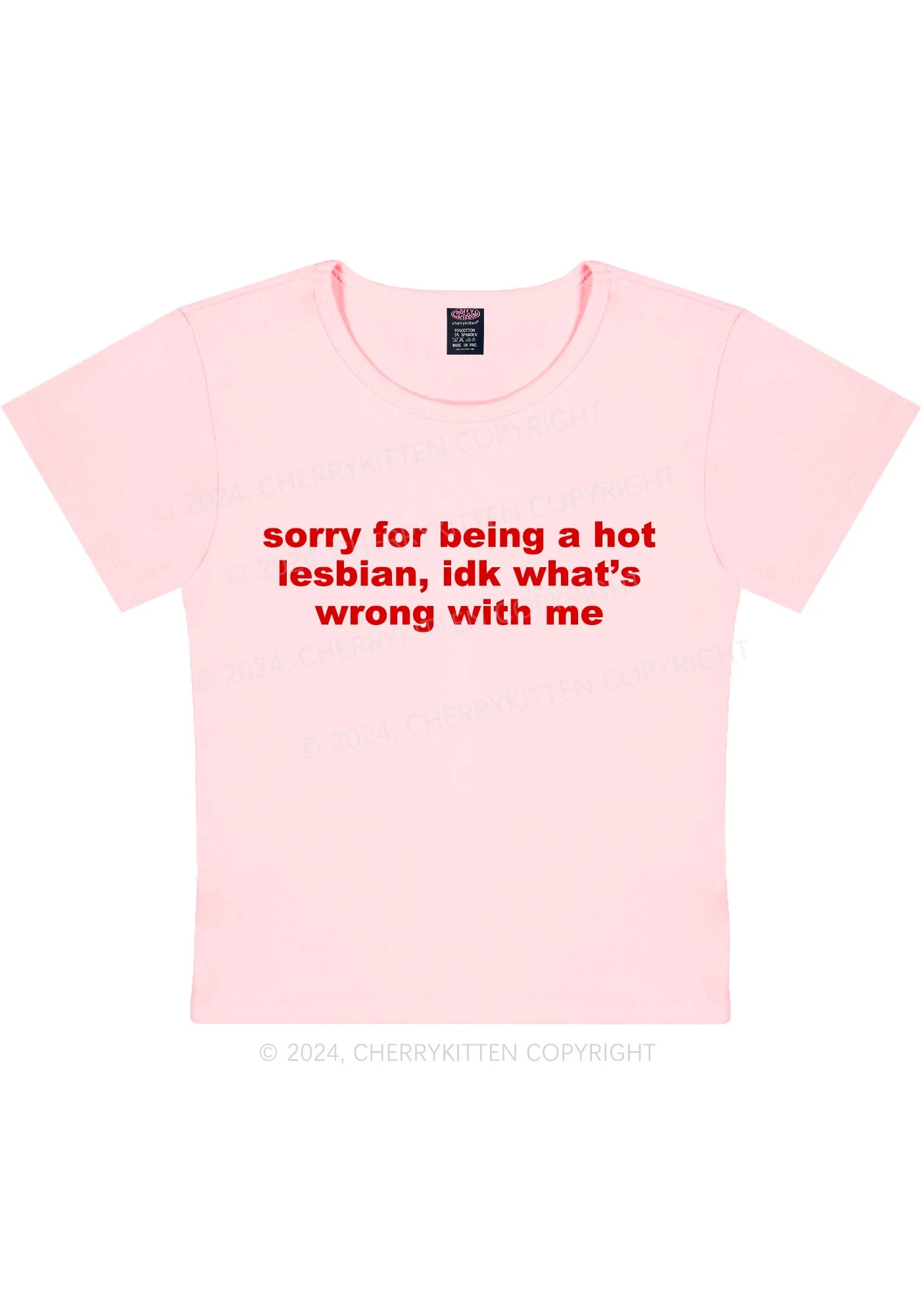 Sorry For Being Hot Lesbian Y2K Baby Tee Cherrykitten - Image 9