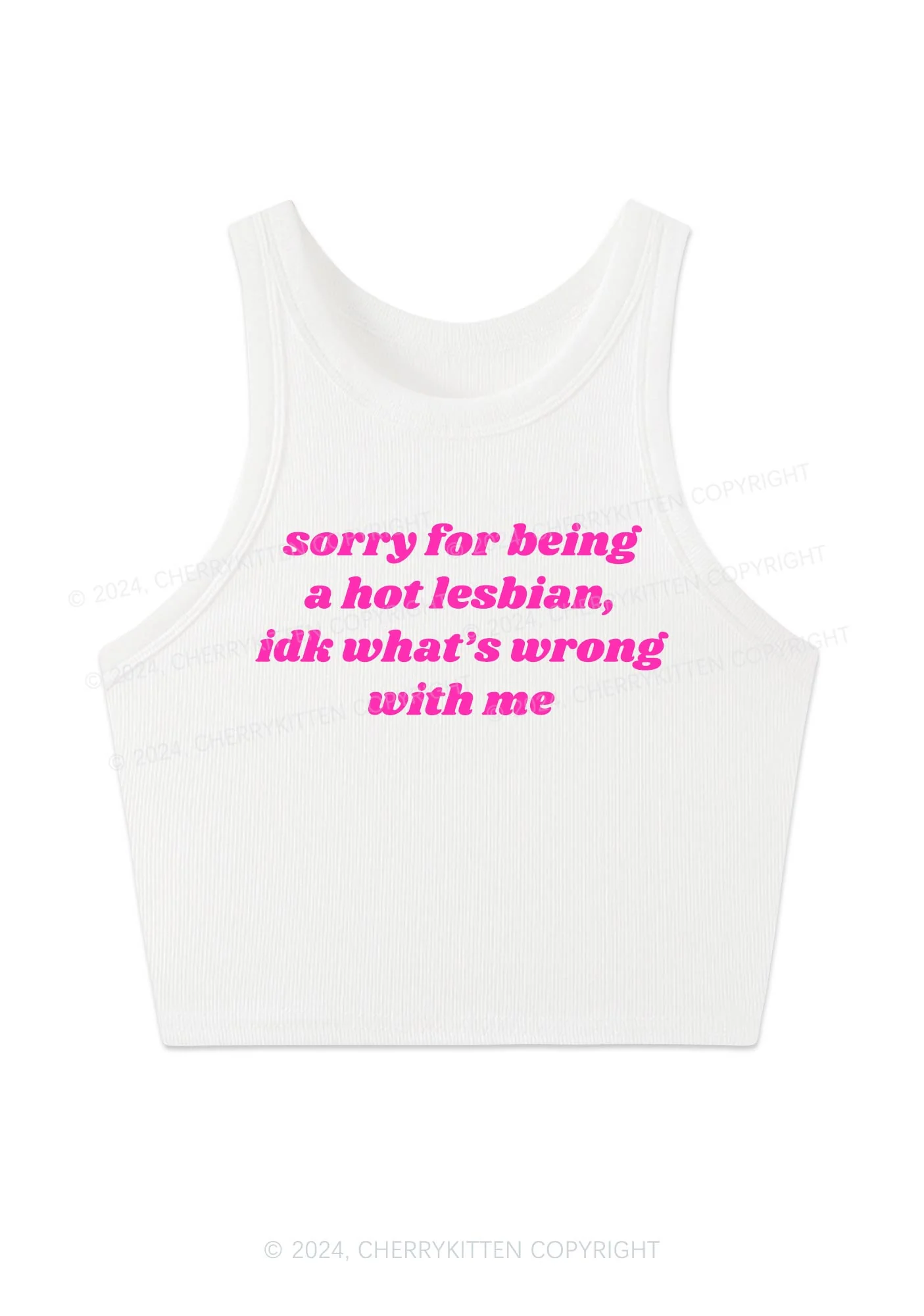 Sorry For Being Hot Lesbian Y2K Crop Tank Top Cherrykitten - Image 2