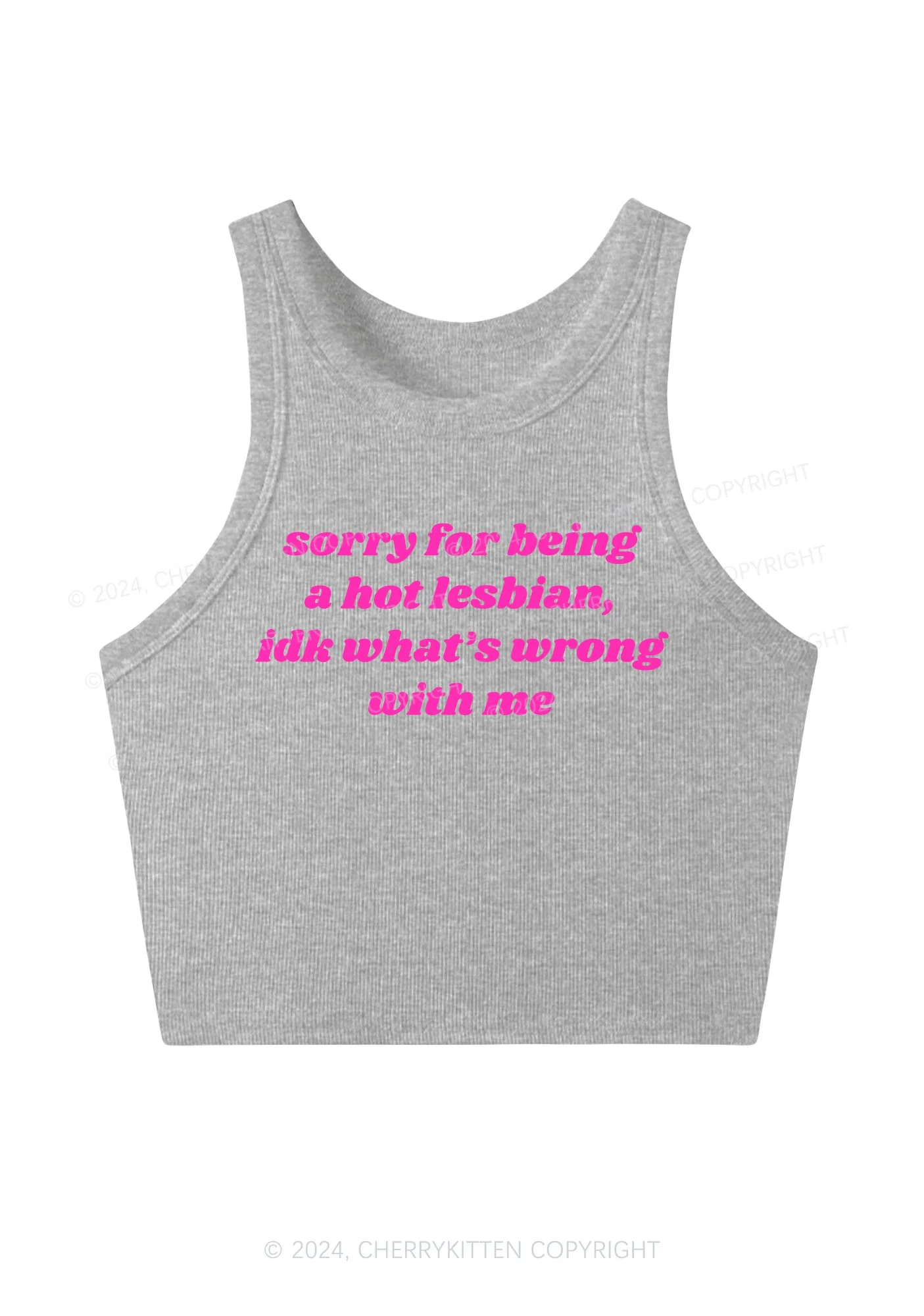 Sorry For Being Hot Lesbian Y2K Crop Tank Top Cherrykitten - Image 3