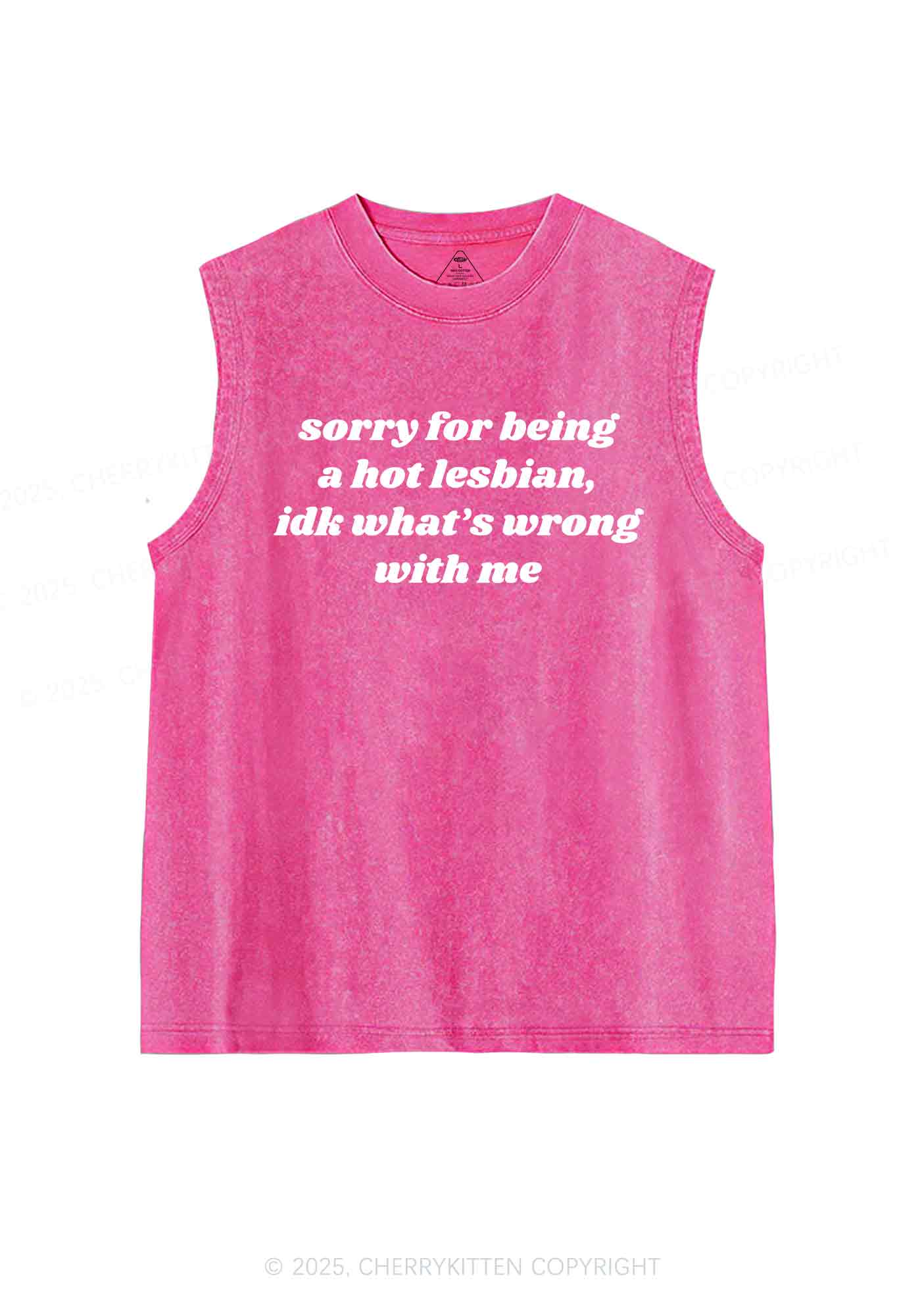 Sorry For Being Hot Lesbian Y2K Washed Tank Cherrykitten - Image 3