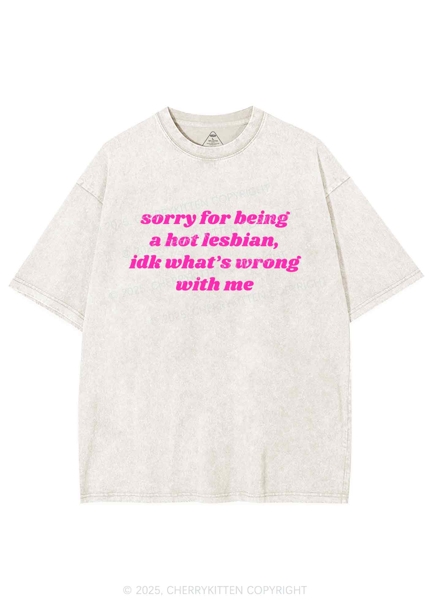 Sorry For Being Hot Lesbian Y2K Washed Tee Cherrykitten - Image 4