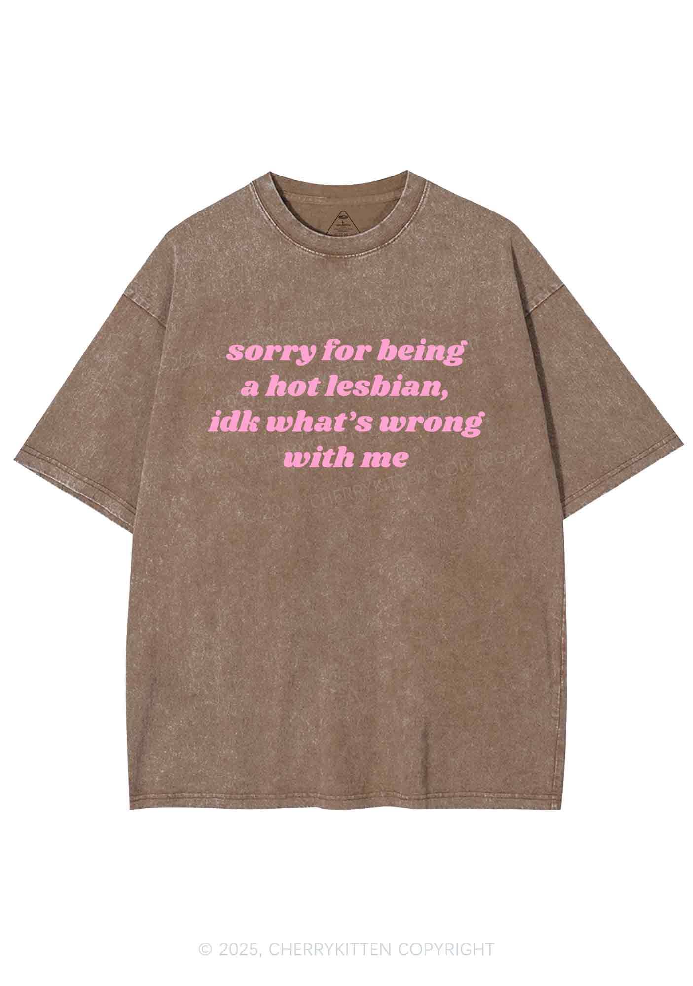 Sorry For Being Hot Lesbian Y2K Washed Tee Cherrykitten - Image 6