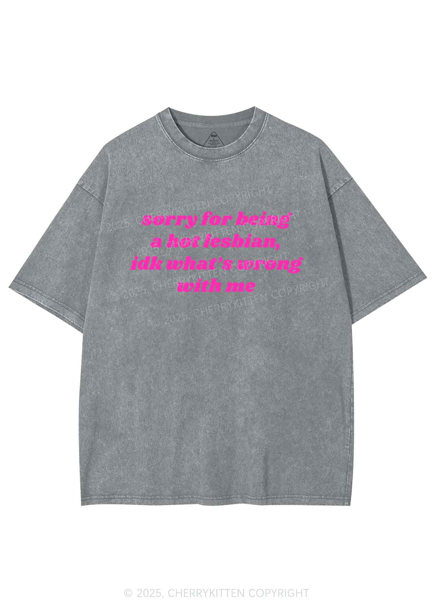 Sorry For Being Hot Lesbian Y2K Washed Tee Cherrykitten - Image 7