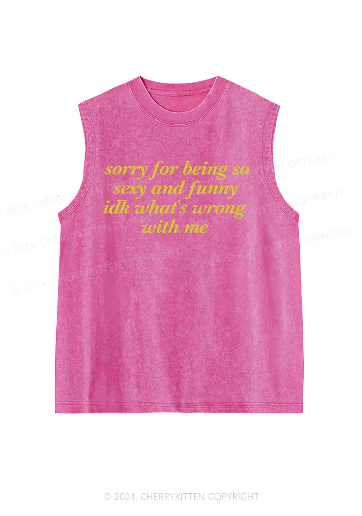 Sorry For Being So Funny Y2K Washed Tank Cherrykitten - Image 4