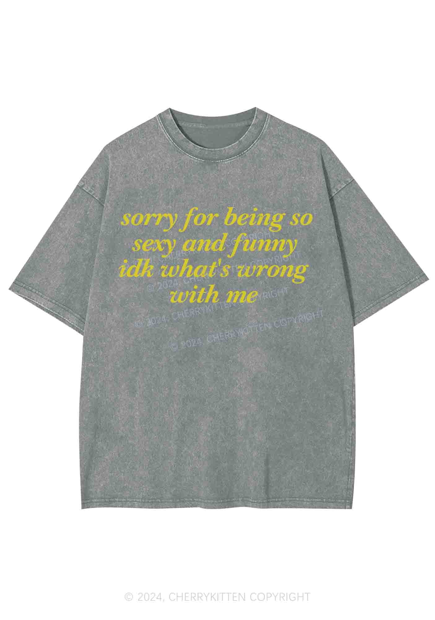 Sorry For Being So Funny Y2K Washed Tee Cherrykitten - Image 6