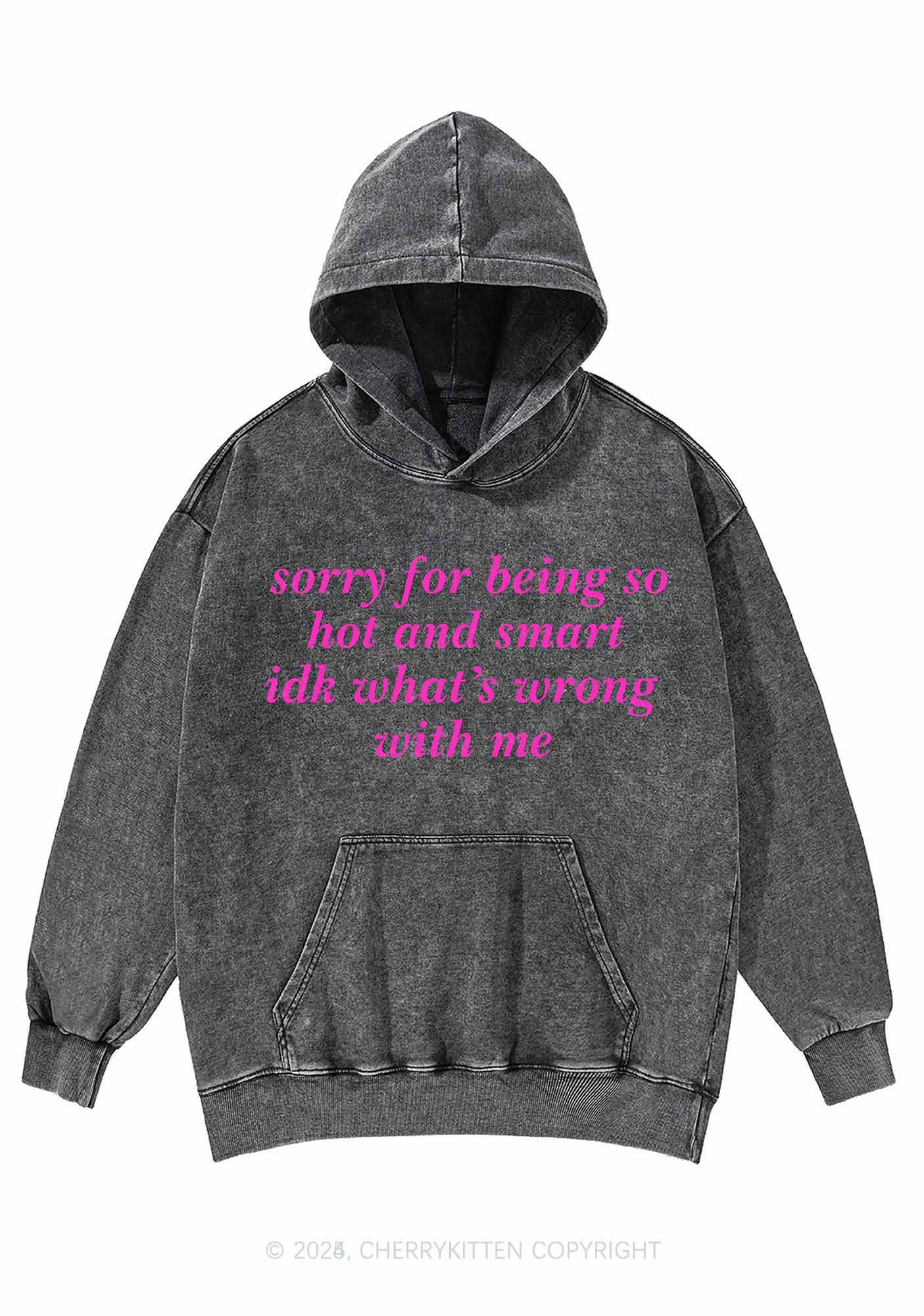 Sorry For Being So Smart Y2K Washed Hoodie Cherrykitten - Image 3