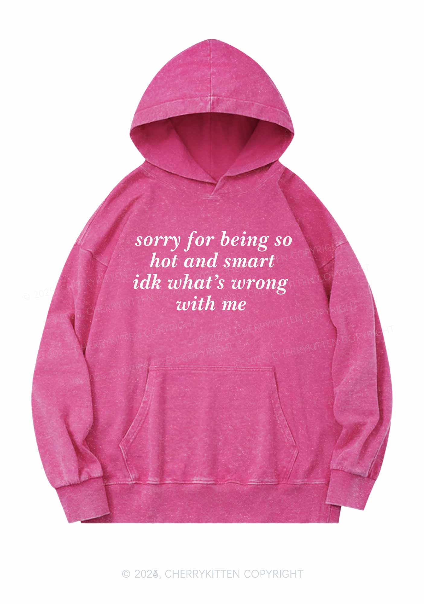 Sorry For Being So Smart Y2K Washed Hoodie Cherrykitten - Image 4