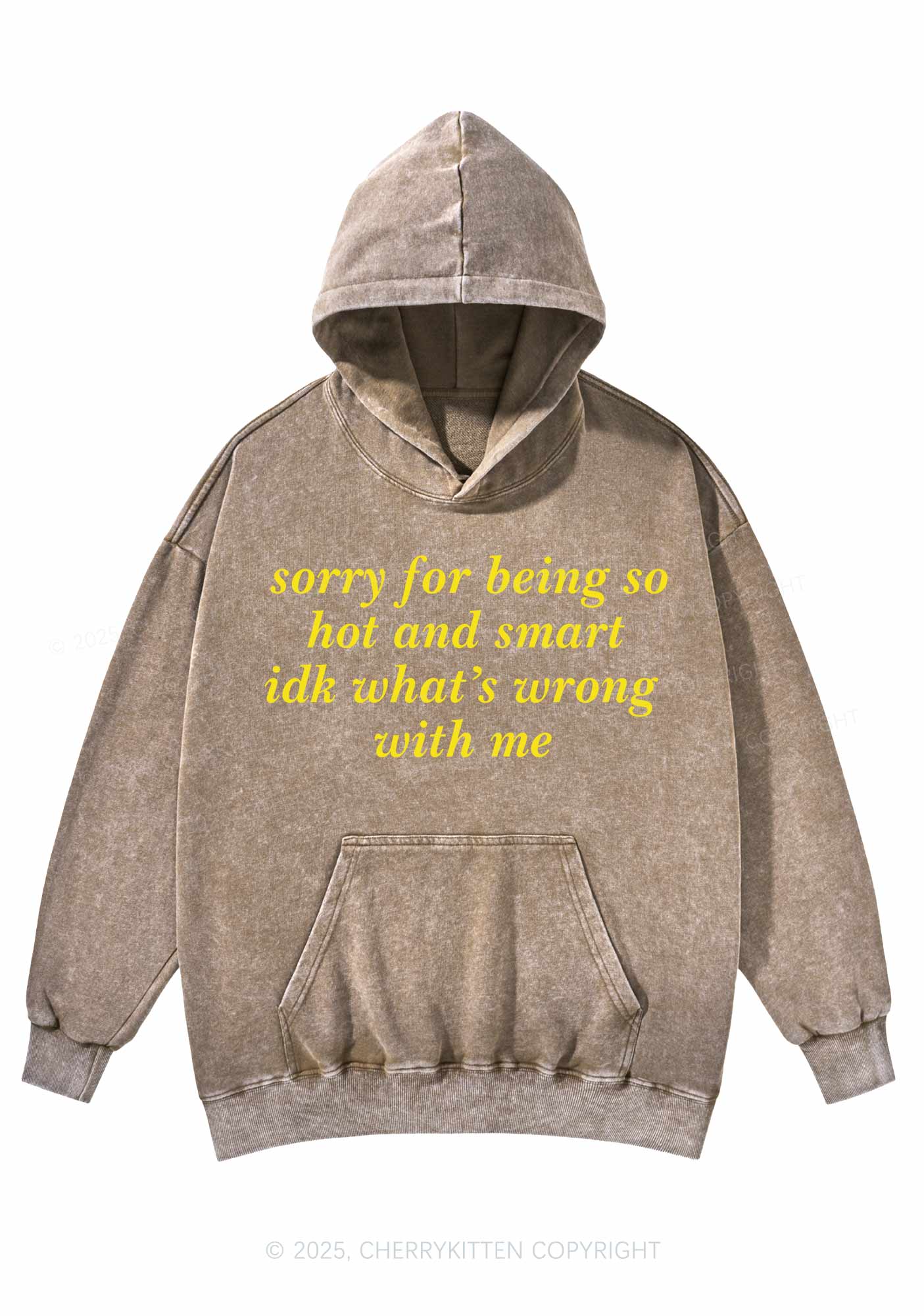 Sorry For Being So Smart Y2K Washed Hoodie Cherrykitten - Image 5