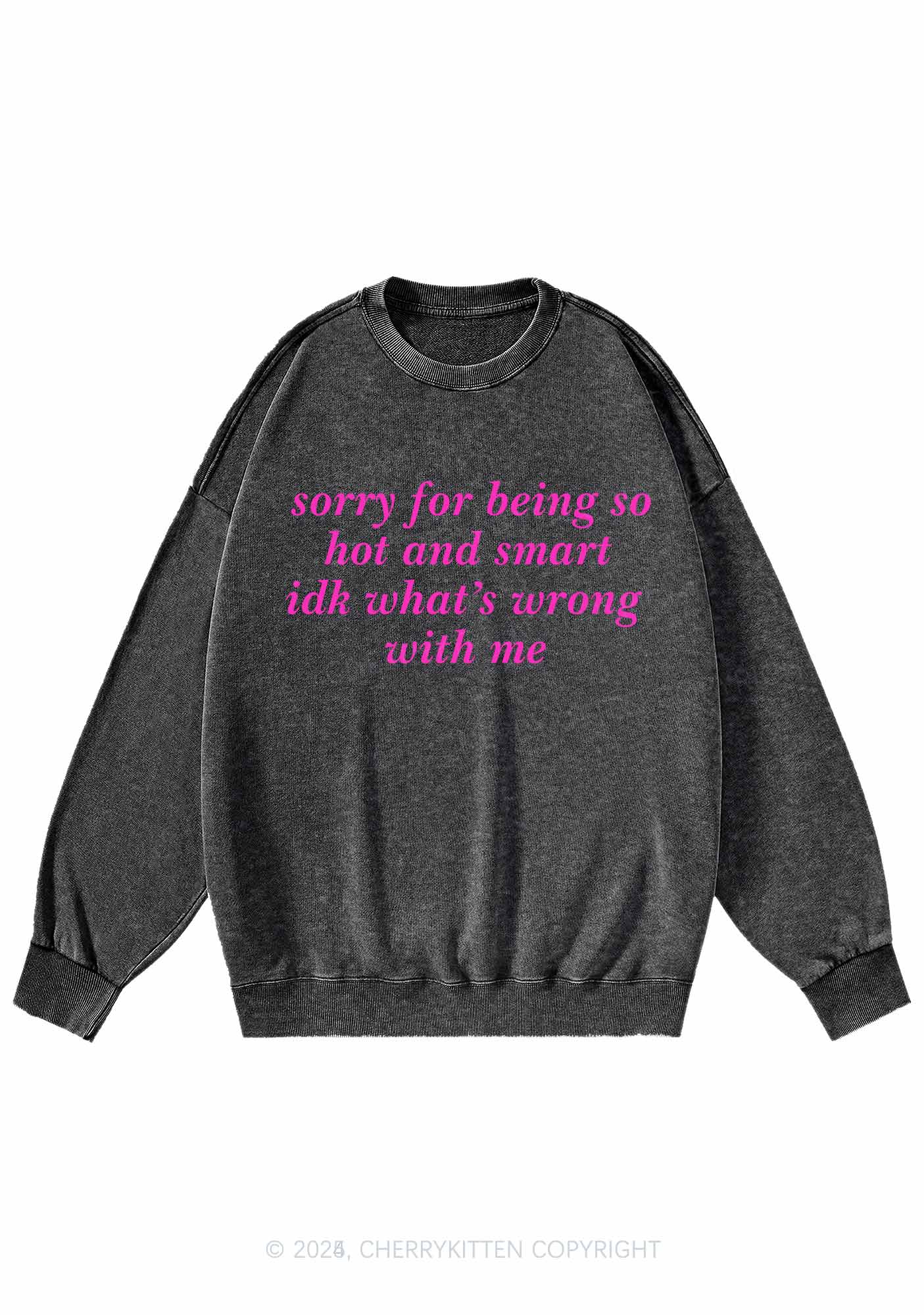 Sorry For Being So Smart Y2K Washed Sweatshirts Cherrykitten - Image 3
