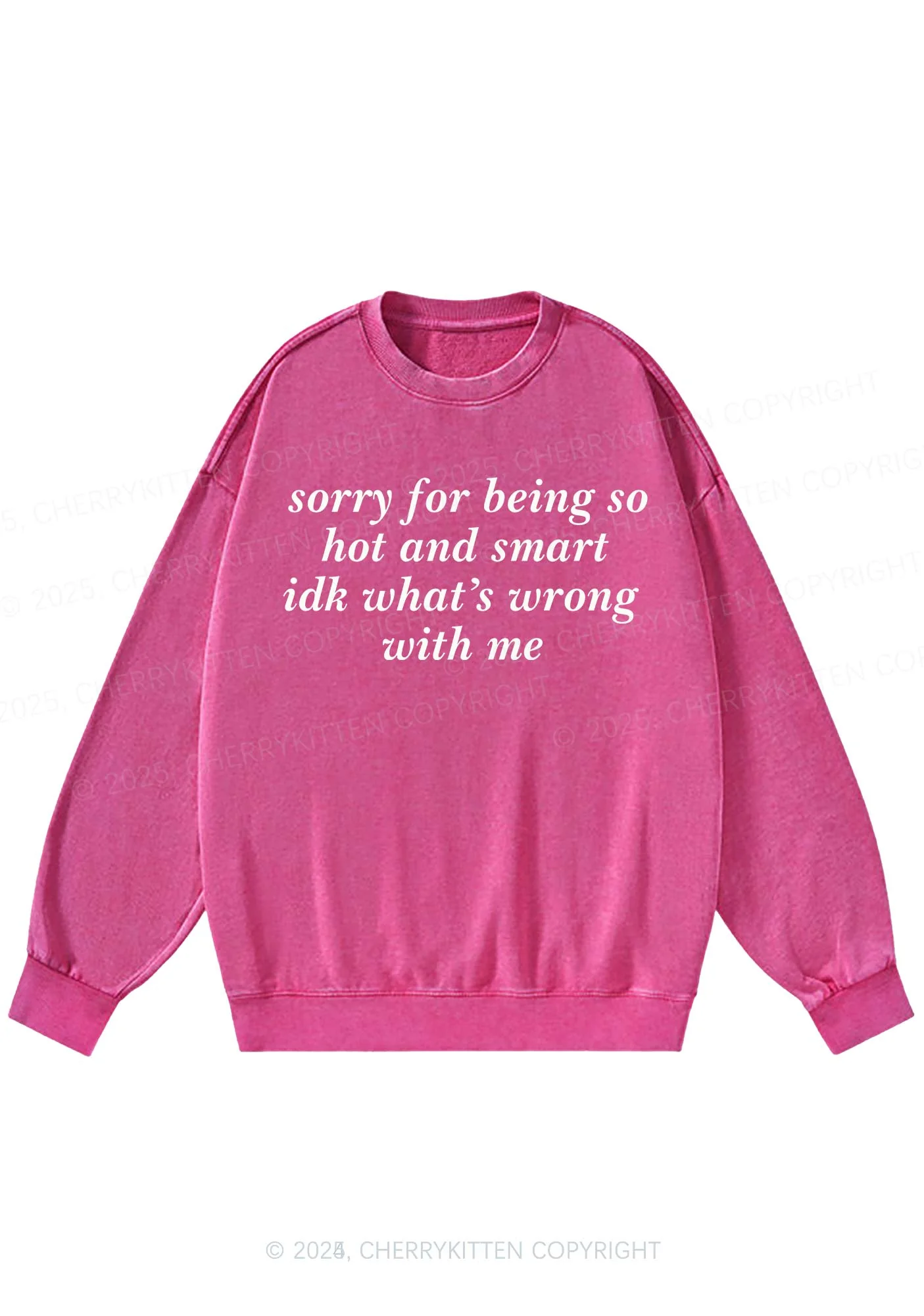 Sorry For Being So Smart Y2K Washed Sweatshirts Cherrykitten - Image 4