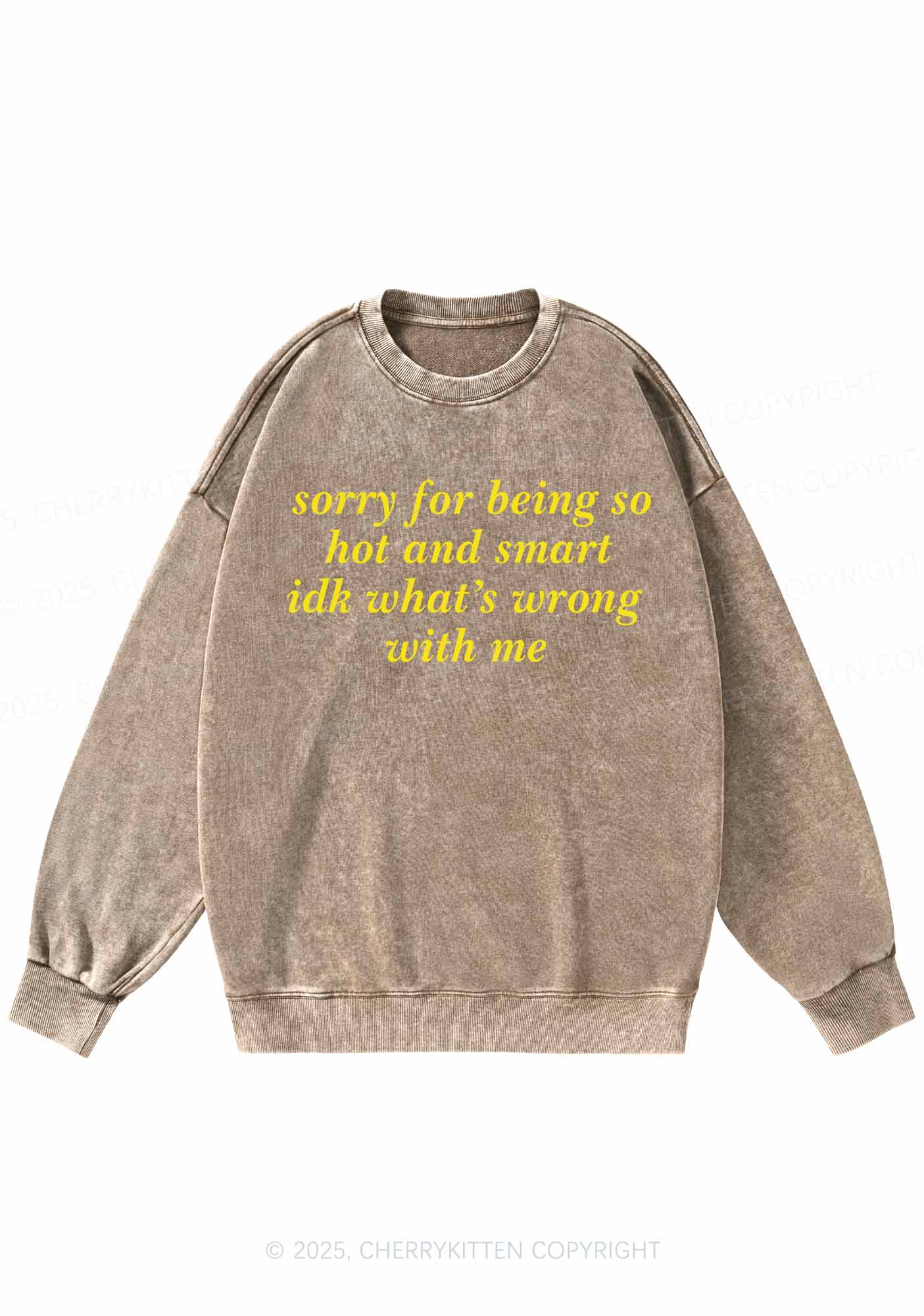 Sorry For Being So Smart Y2K Washed Sweatshirts Cherrykitten - Image 5