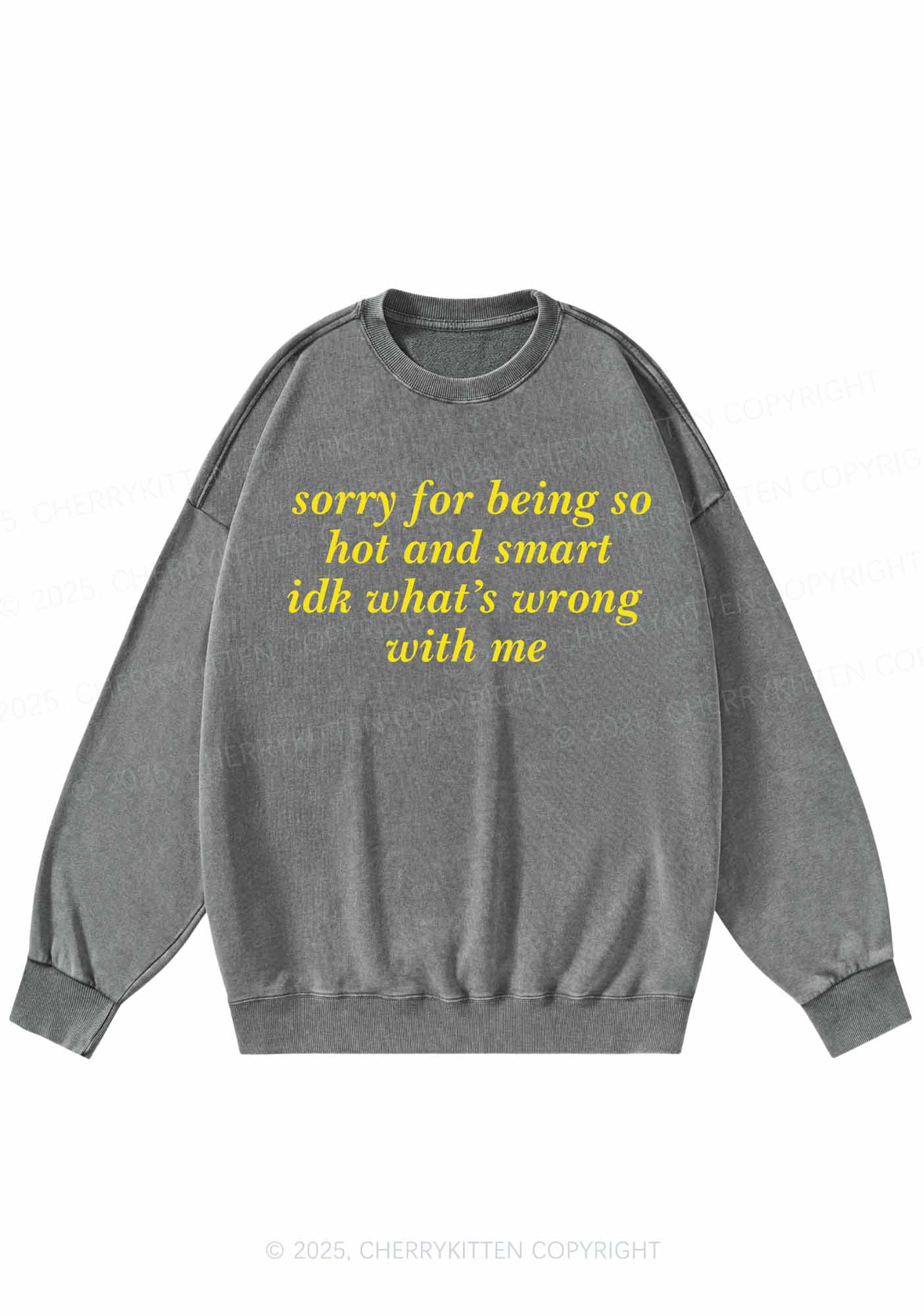 Sorry For Being So Smart Y2K Washed Sweatshirts Cherrykitten - Image 6