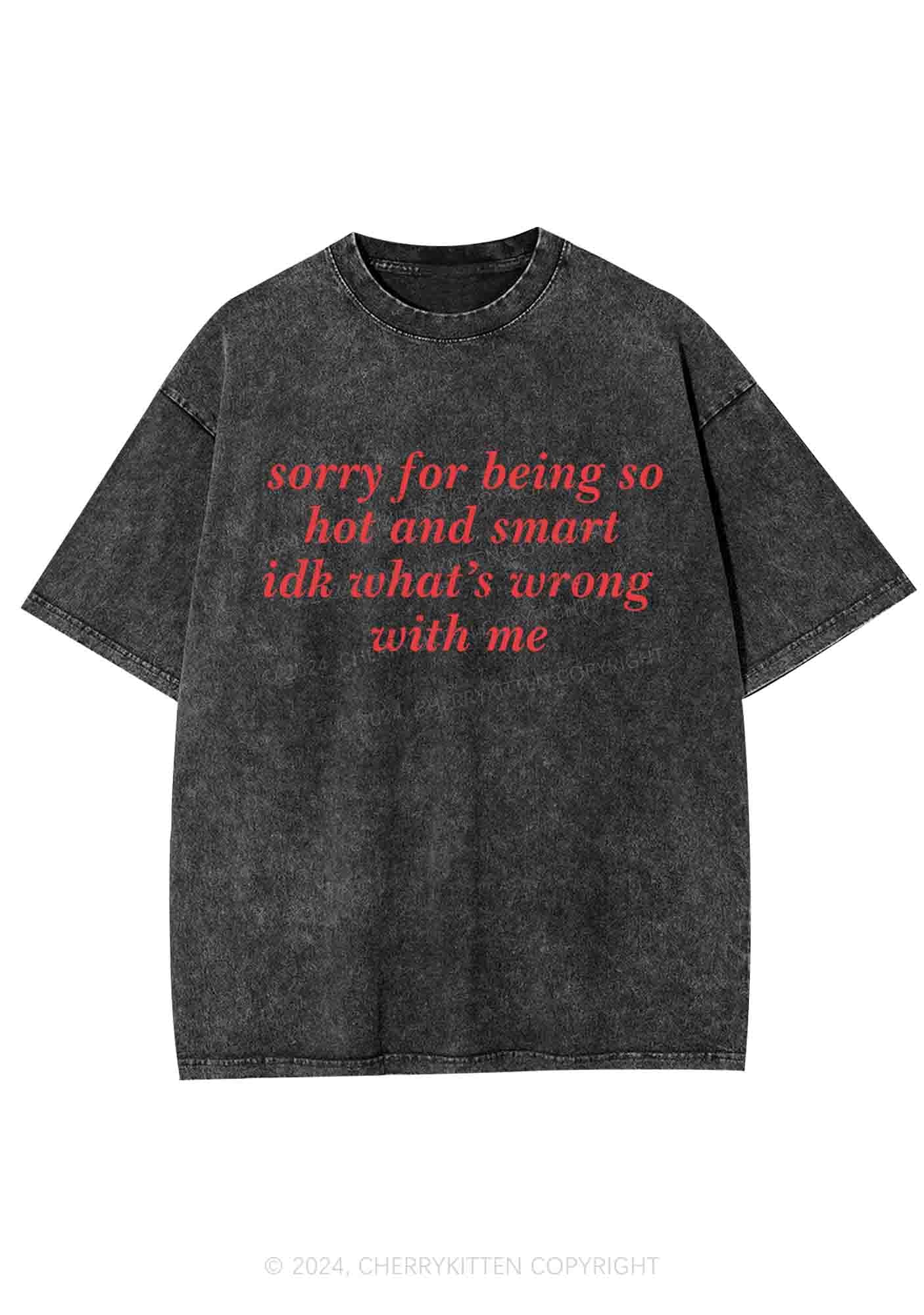 Sorry For Being So Smart Y2K Washed Tee Cherrykitten - Image 3