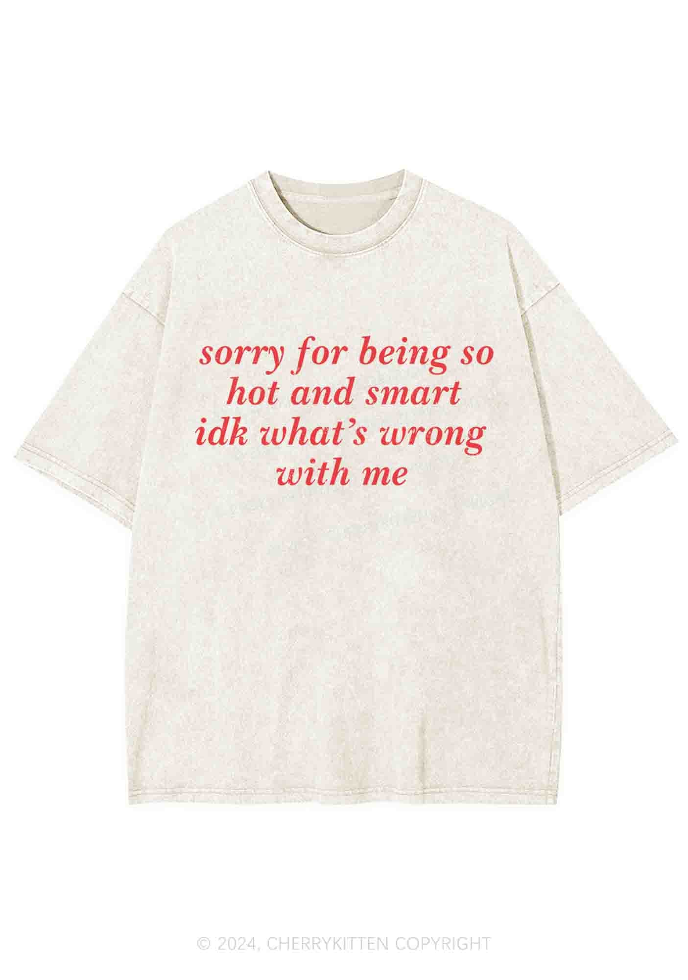 Sorry For Being So Smart Y2K Washed Tee Cherrykitten - Image 4