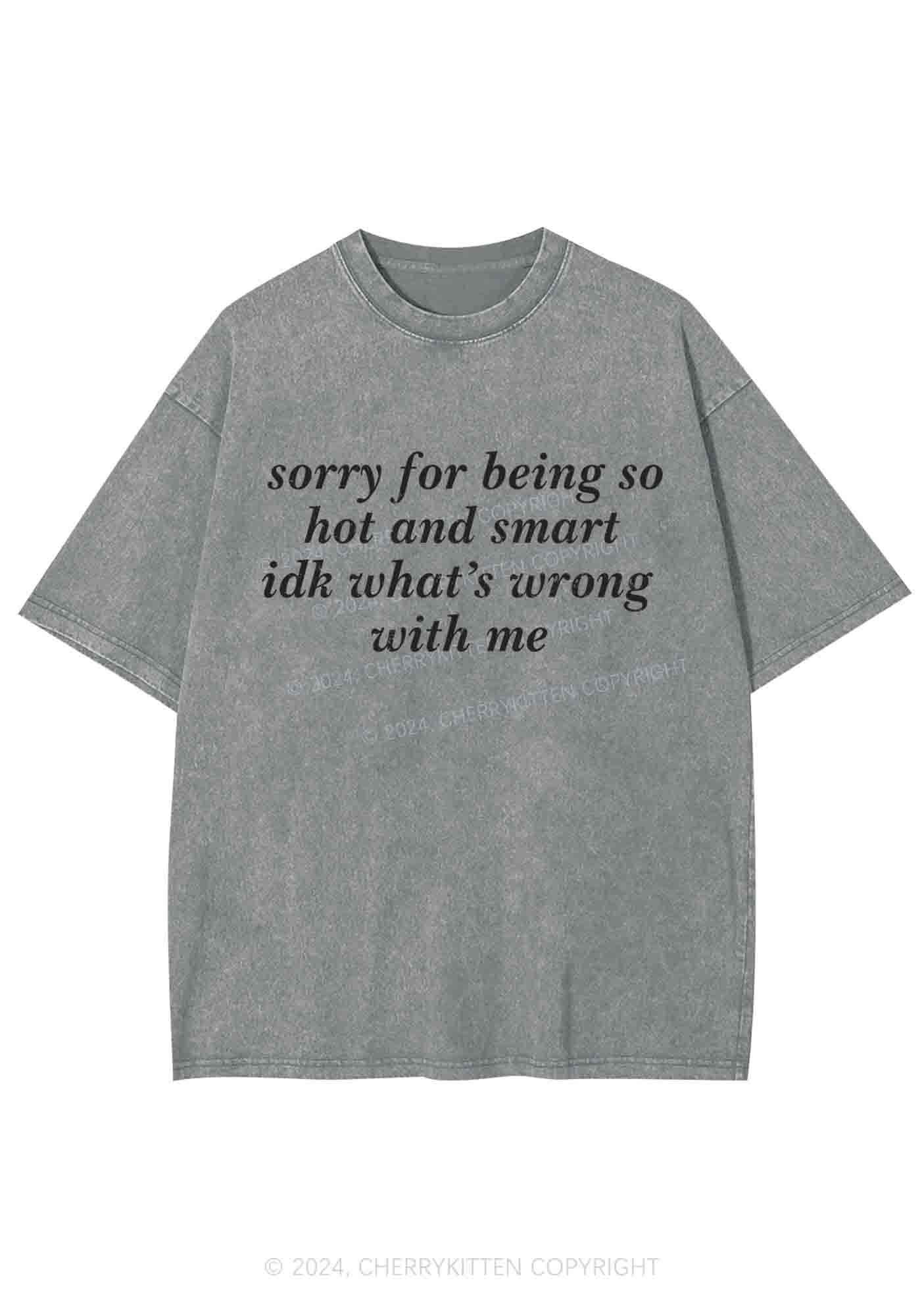 Sorry For Being So Smart Y2K Washed Tee Cherrykitten - Image 5