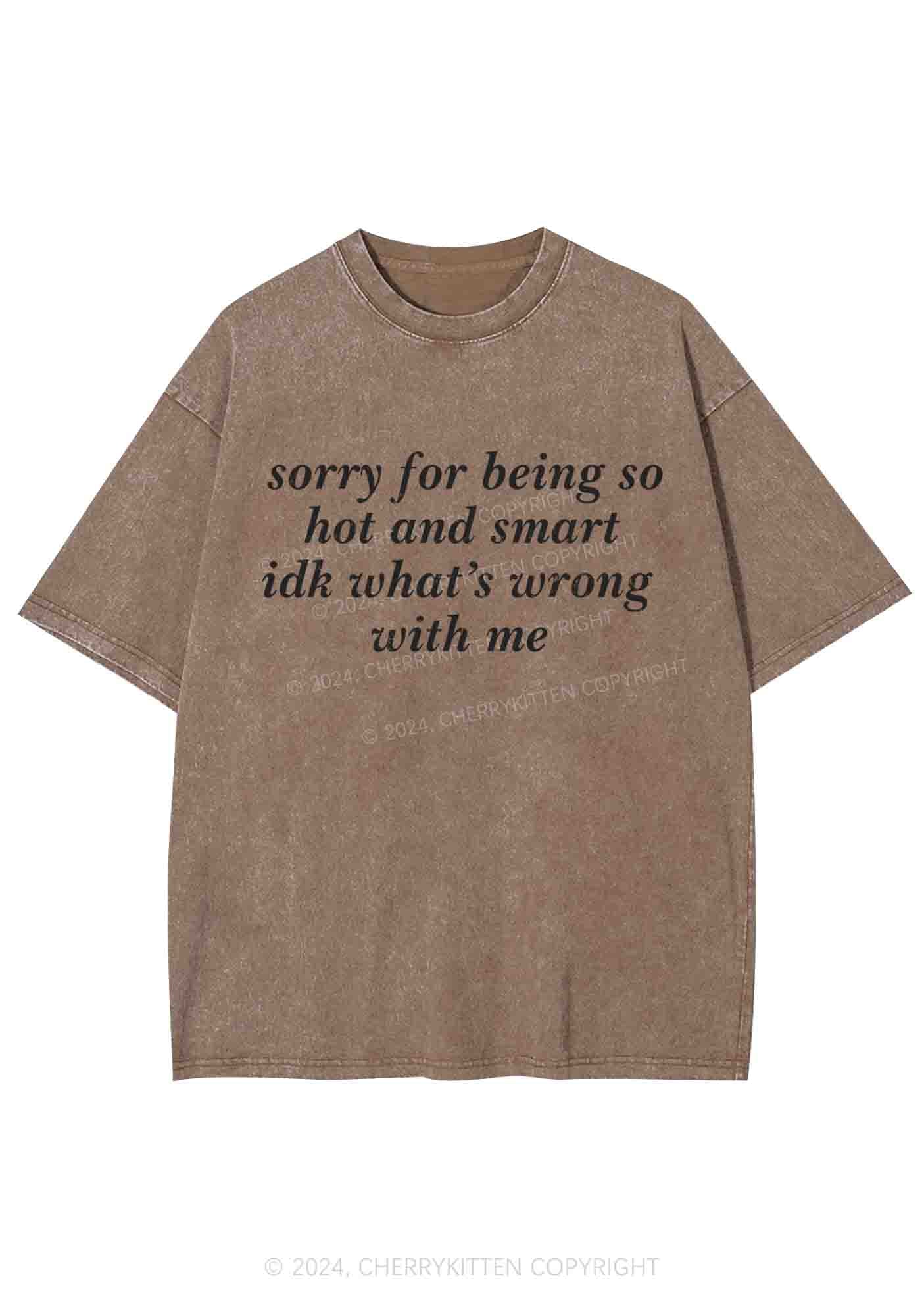 Sorry For Being So Smart Y2K Washed Tee Cherrykitten - Image 6