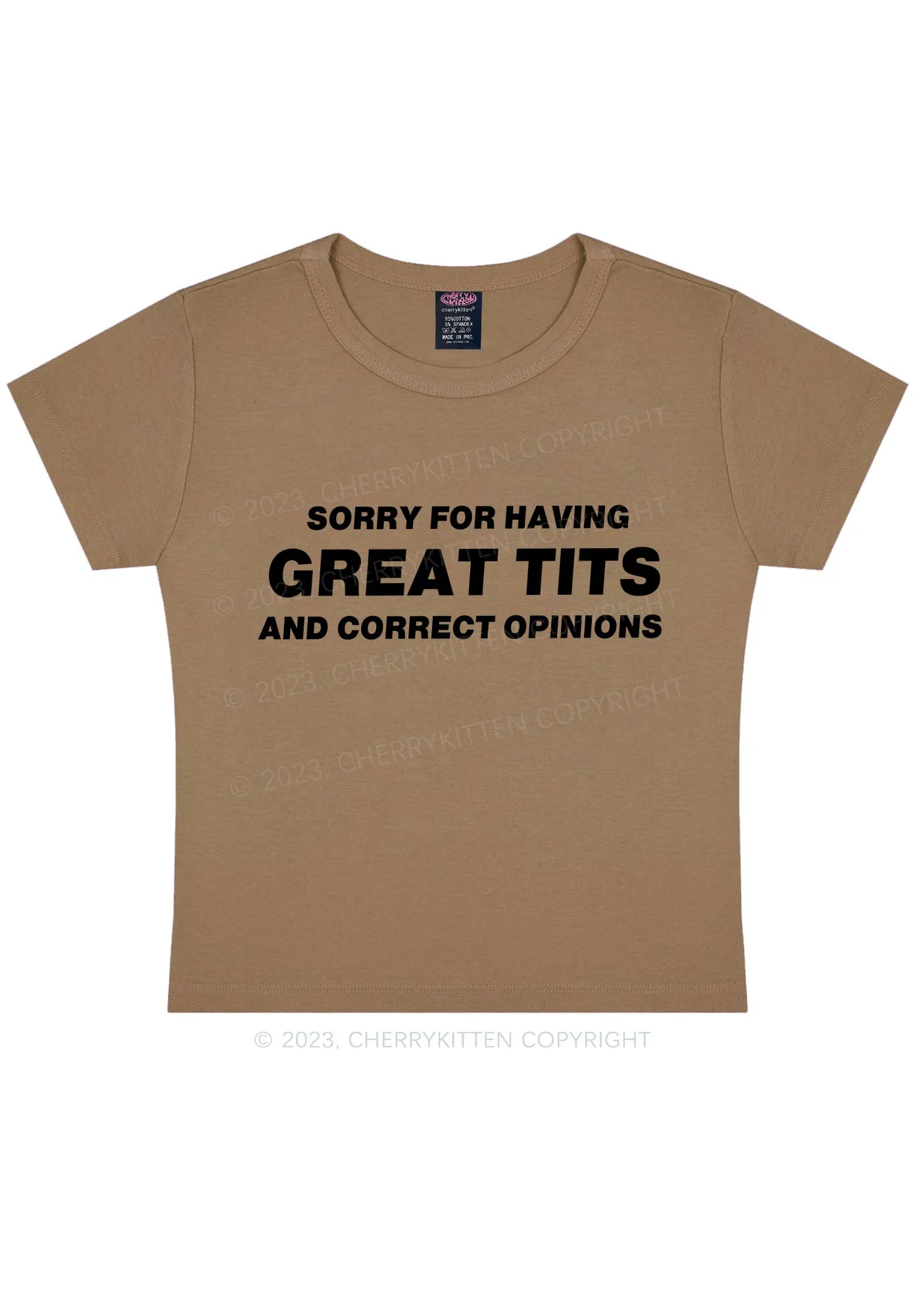 Sorry For Having Correct Opinions Y2K Baby Tee - Image 11