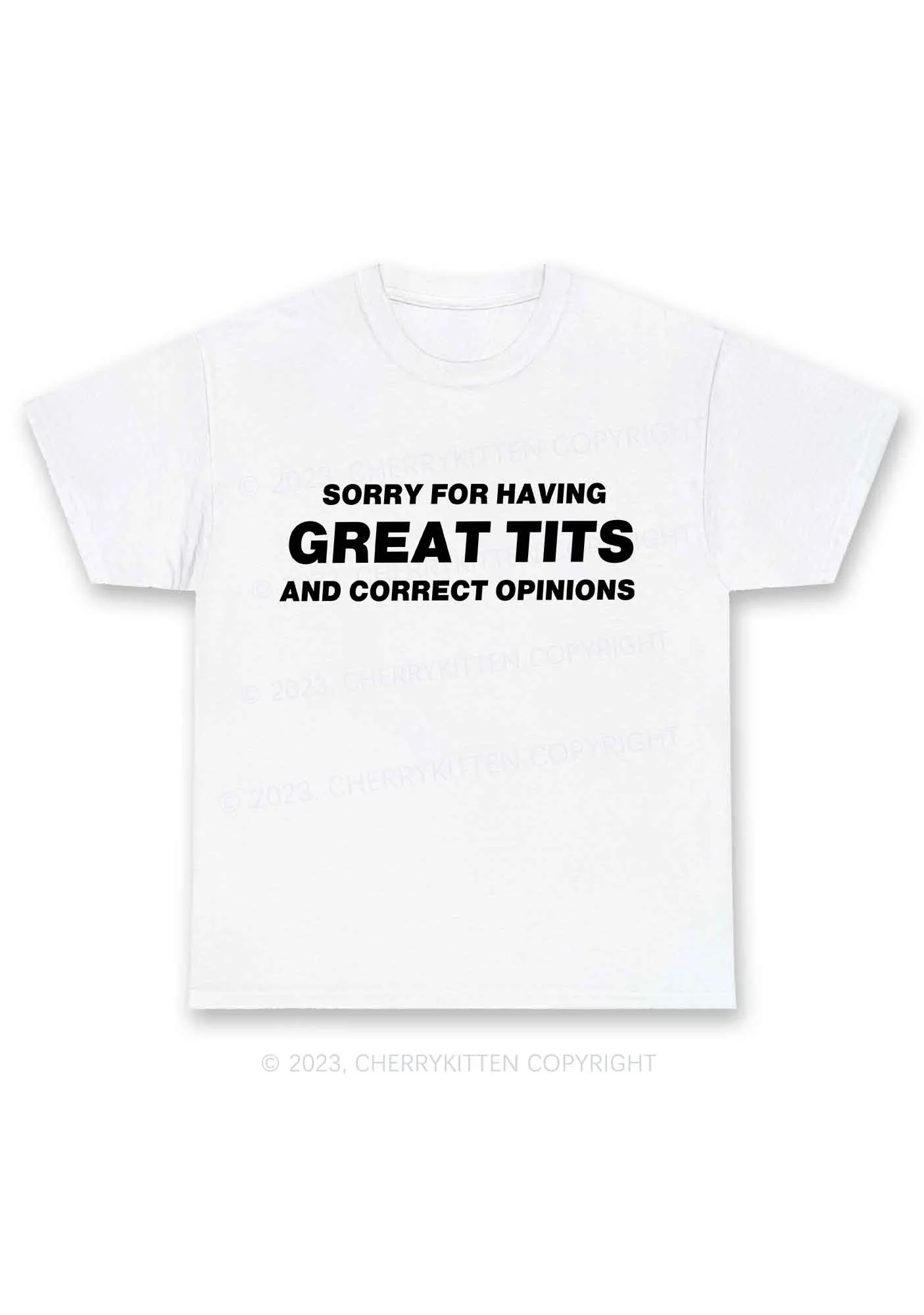 Sorry For Having Correct Opinions Y2K Chunky Shirt Cherrykitten - Image 3