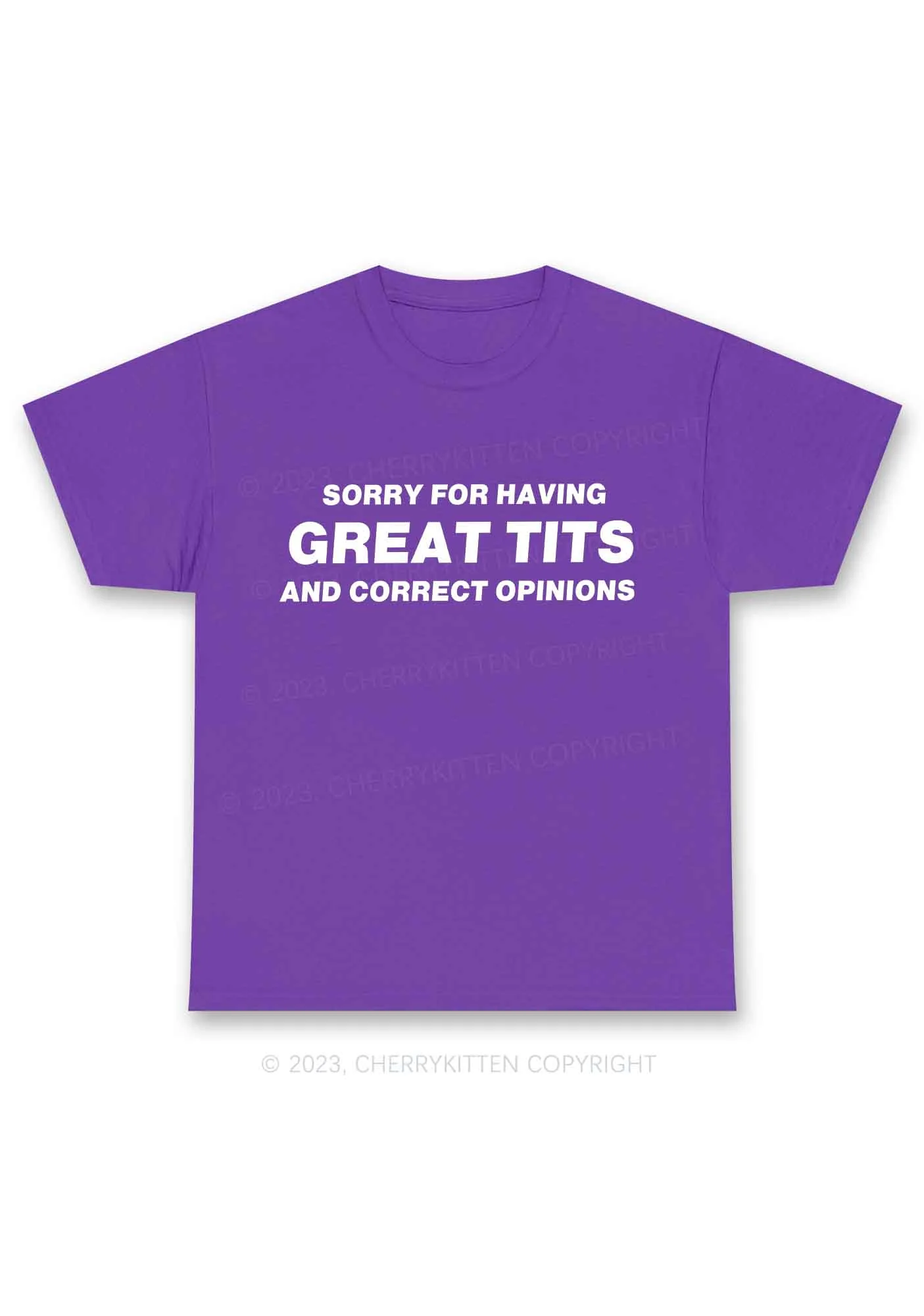Sorry For Having Correct Opinions Y2K Chunky Shirt Cherrykitten - Image 4