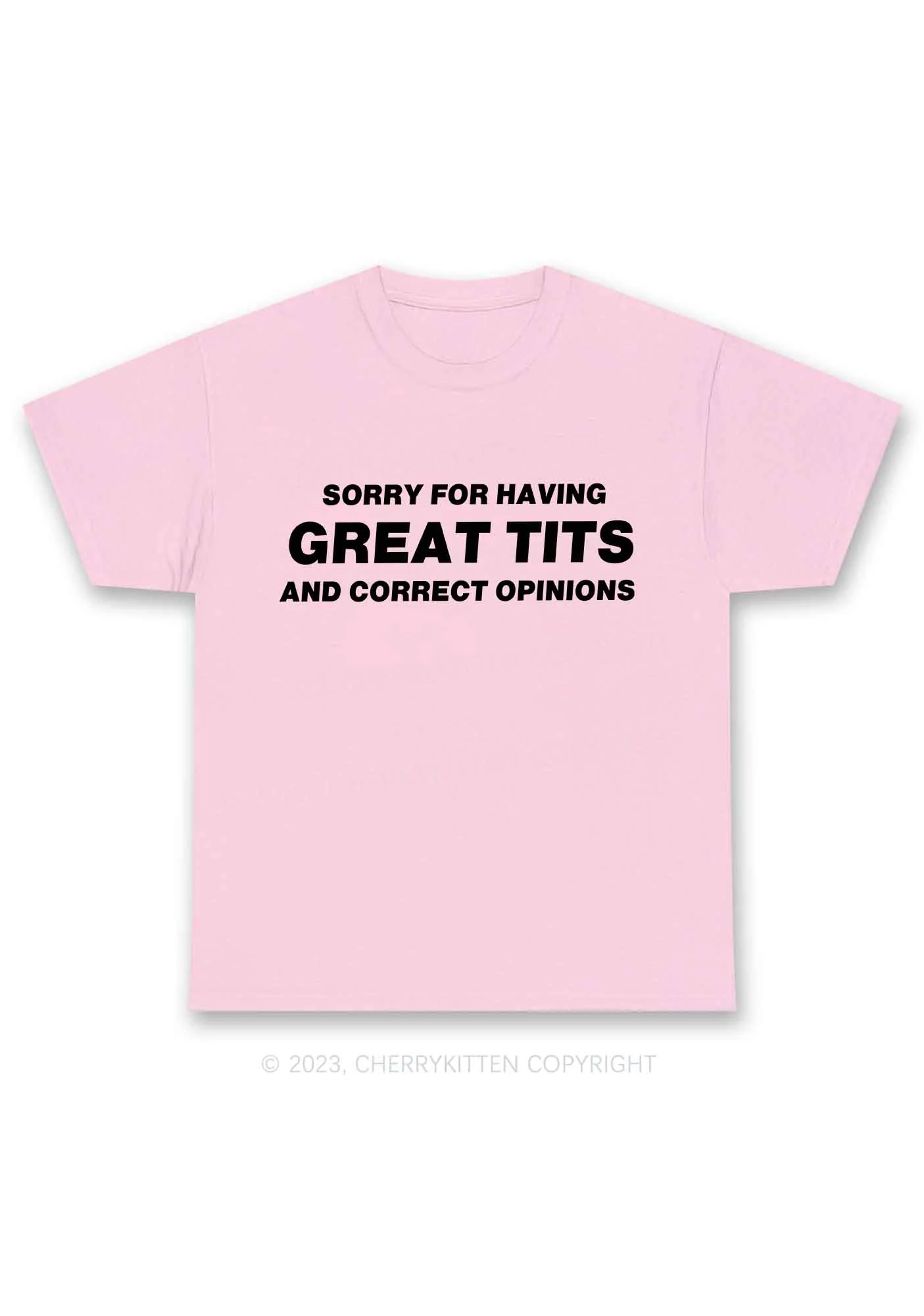 Sorry For Having Correct Opinions Y2K Chunky Shirt Cherrykitten - Image 6