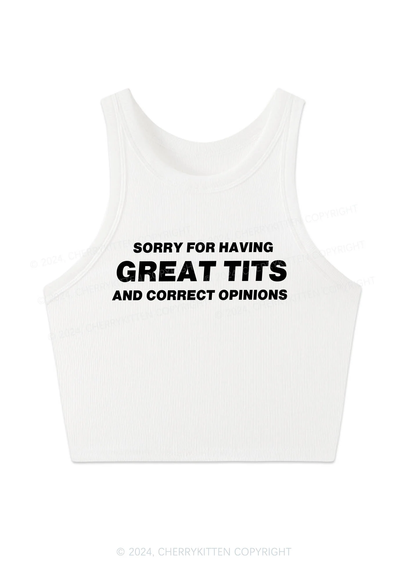 Sorry For Having Correct Opinions Y2K Crop Tank Top Cherrykitten - Image 2