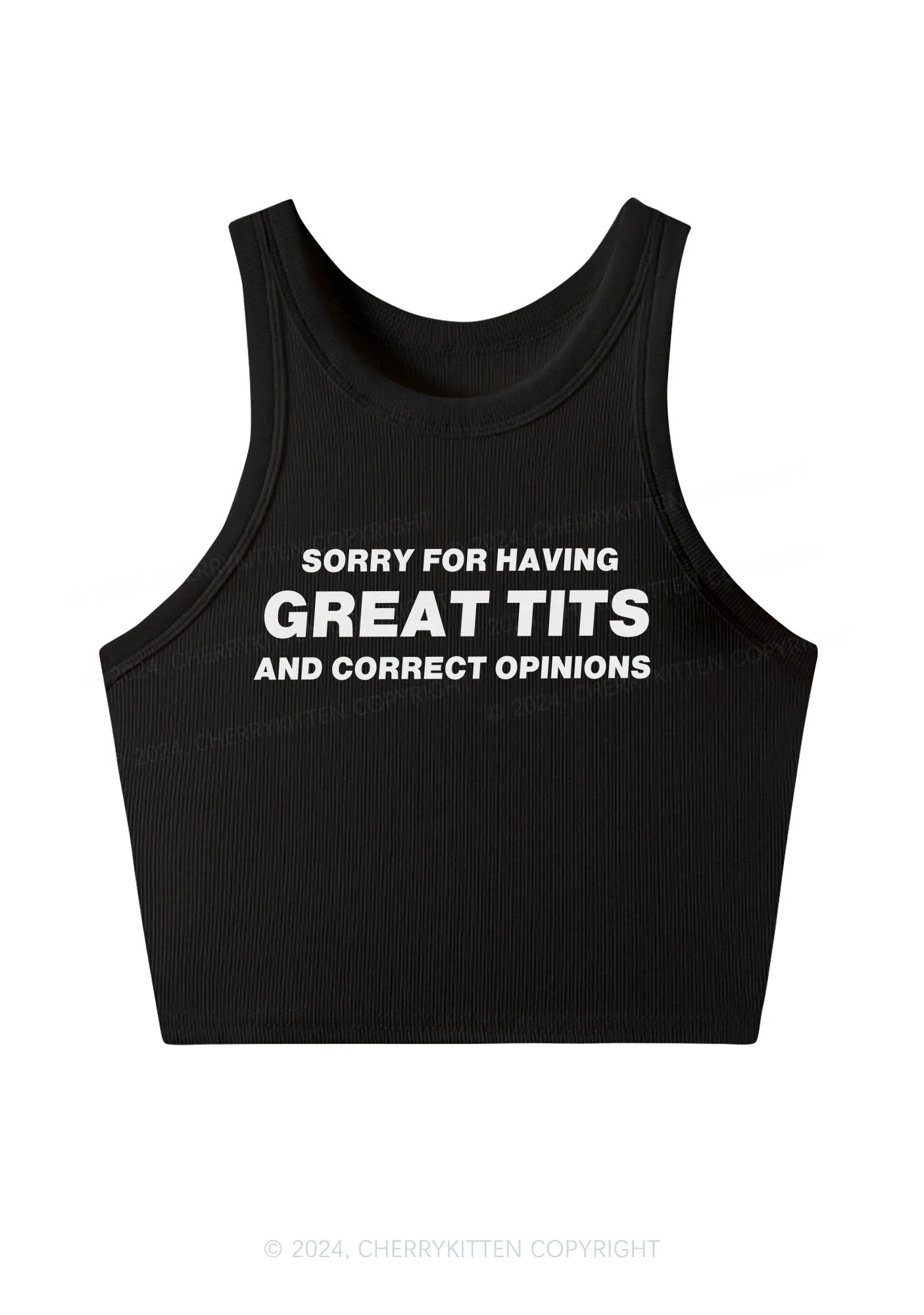 Sorry For Having Correct Opinions Y2K Crop Tank Top Cherrykitten - Image 3