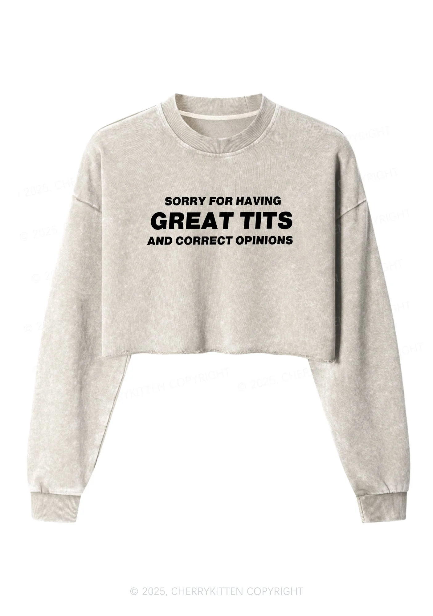 Sorry For Having Correct Opinions Y2K Crop Washed Sweatshirts Cherrykitten - Image 4