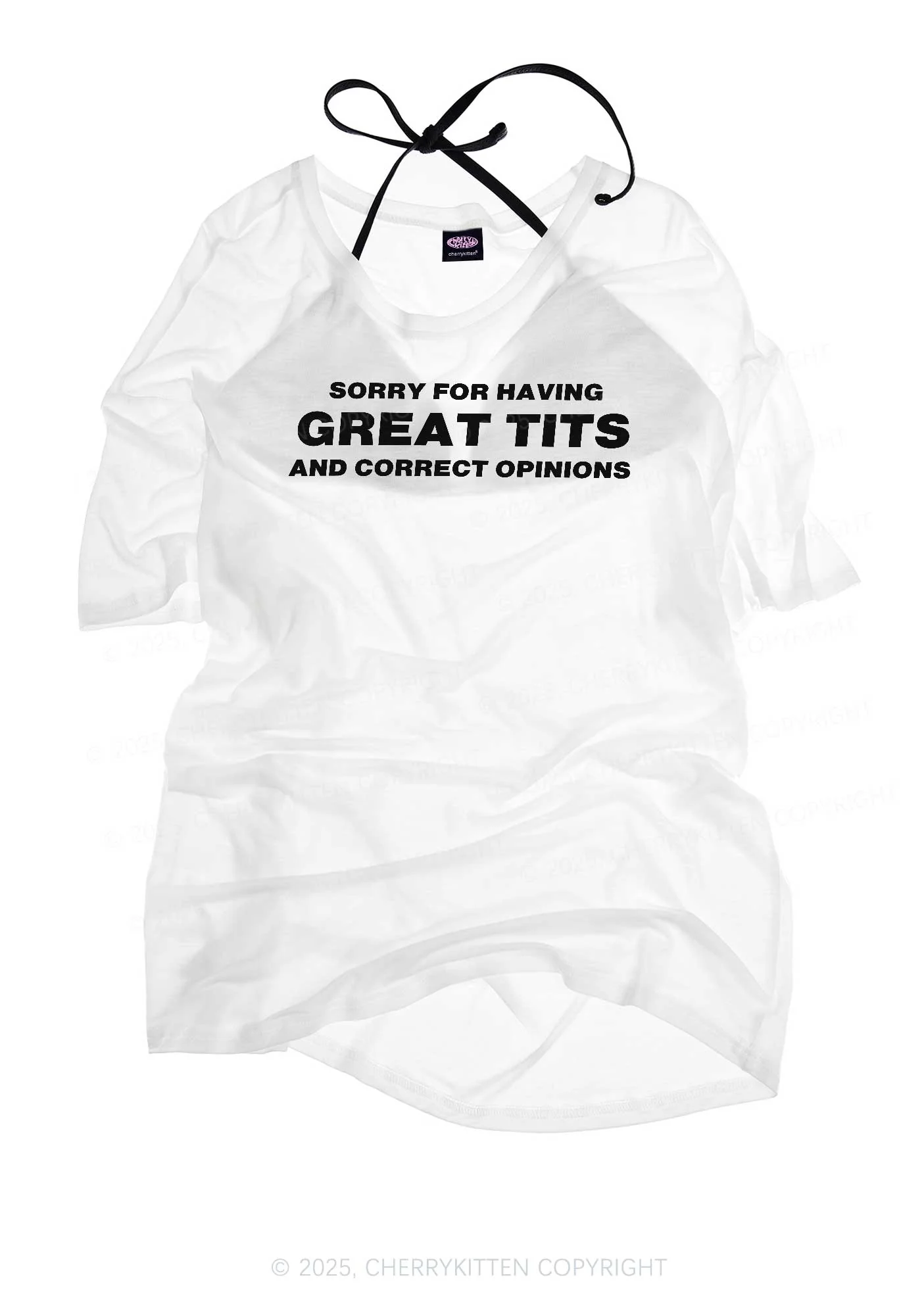 Sorry For Having Correct Opinions Y2K Sheer Boyfriend Tee Cherrykitten - Image 3