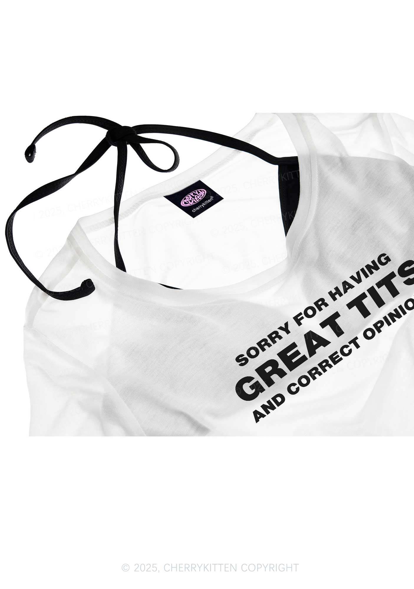 Sorry For Having Correct Opinions Y2K Sheer Boyfriend Tee Cherrykitten - Image 4