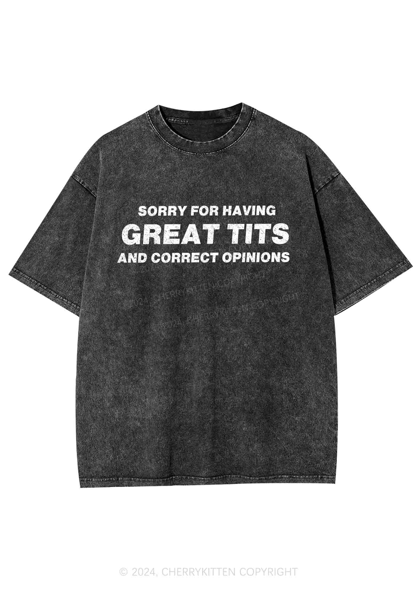 Sorry For Having Correct Opinions Y2K Washed Tee Cherrykitten - Image 3