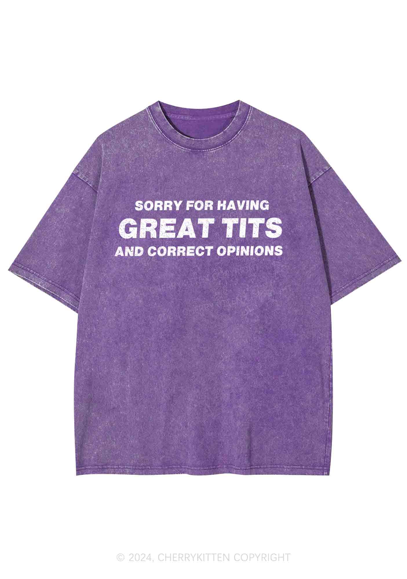 Sorry For Having Correct Opinions Y2K Washed Tee Cherrykitten - Image 5