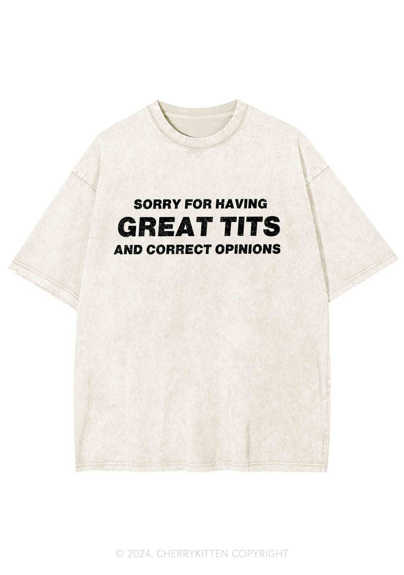 Sorry For Having Correct Opinions Y2K Washed Tee Cherrykitten - Image 6