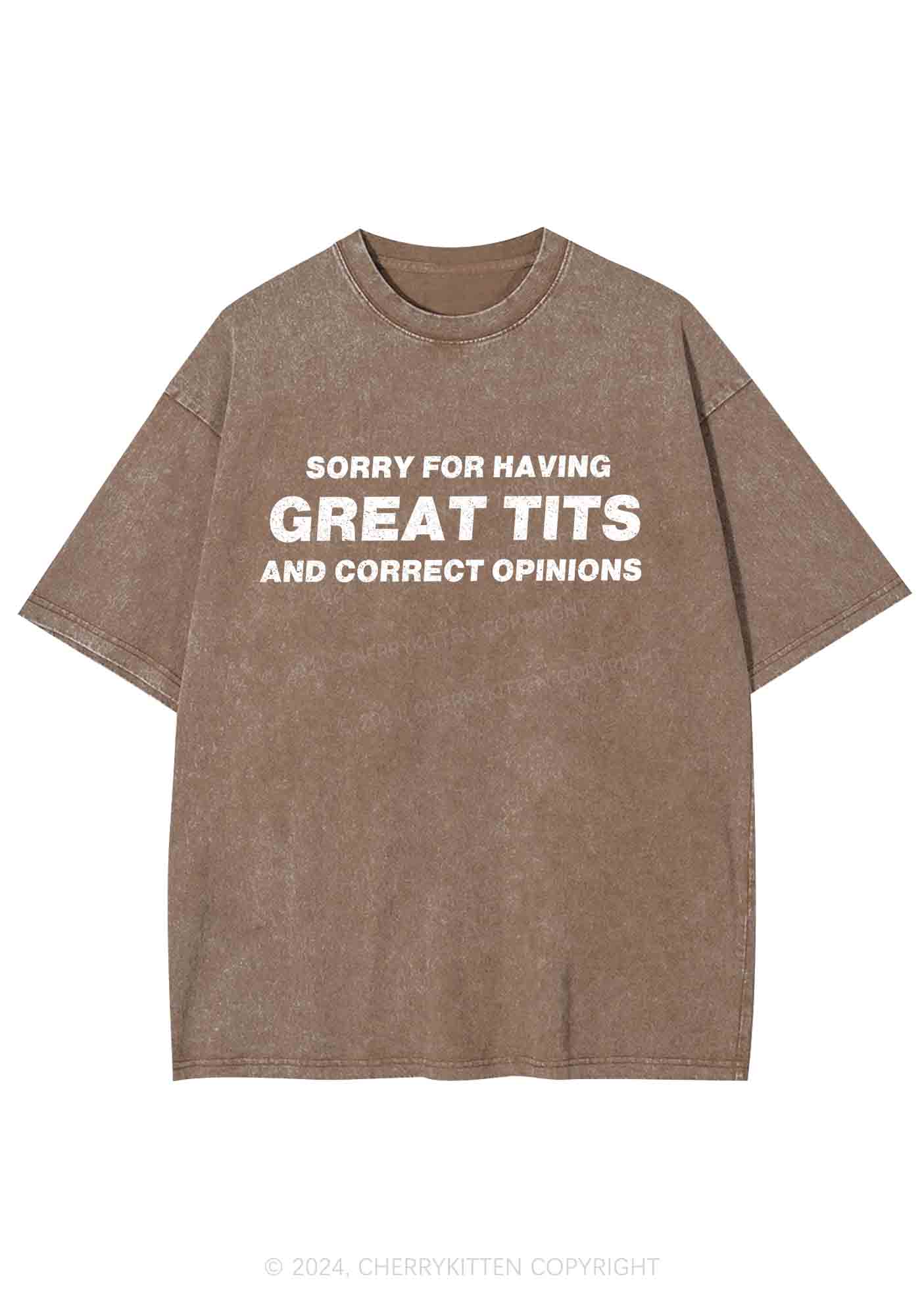 Sorry For Having Correct Opinions Y2K Washed Tee Cherrykitten - Image 7