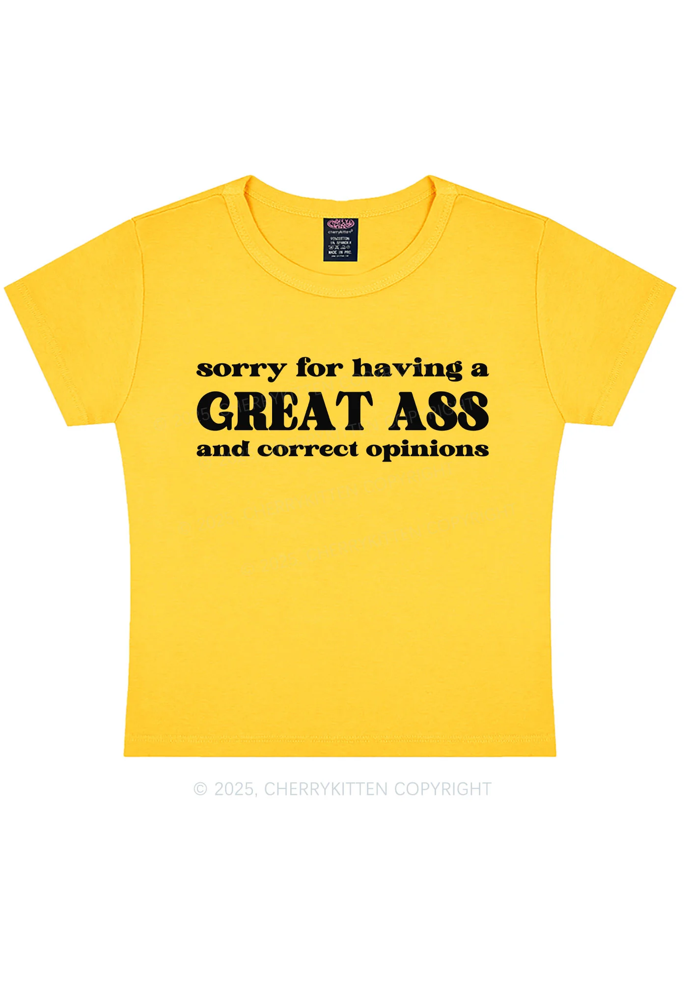 Sorry For Having Great Axx Y2K Baby Tee Cherrykitten - Image 8