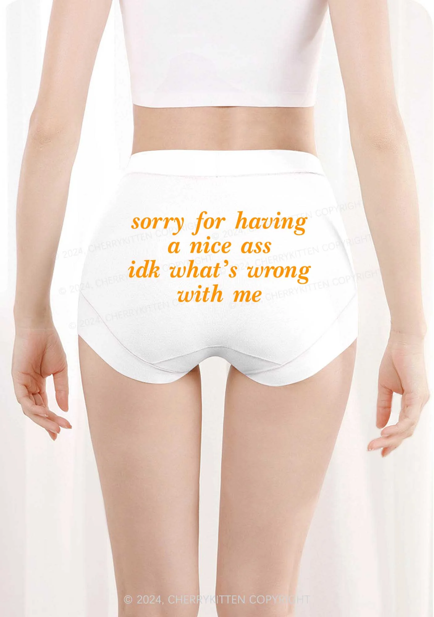 Sorry For Nice Axx Y2K Mid Rise Waist Boyshort Cherrykitten - Image 3