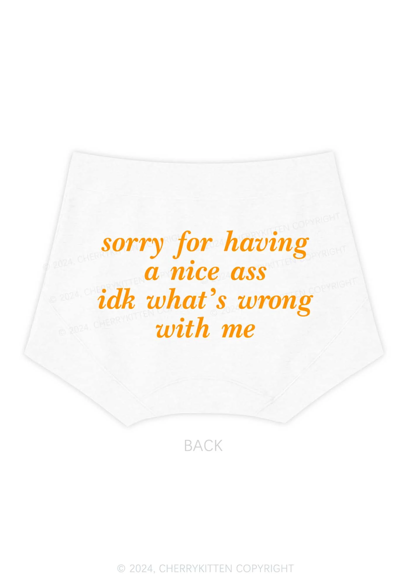 Sorry For Nice Axx Y2K Mid Rise Waist Boyshort Cherrykitten - Image 5