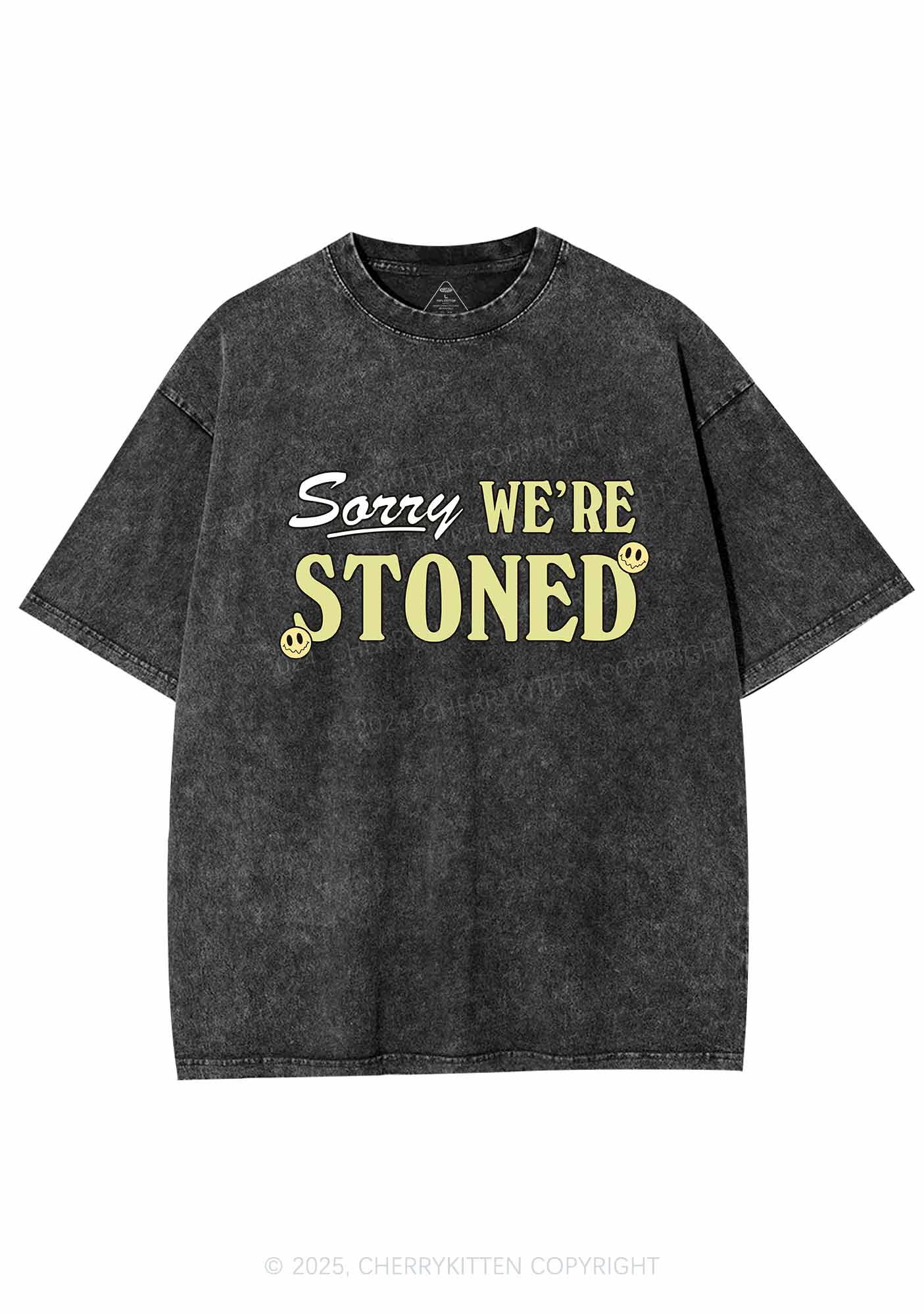 Sorry We're Stoned Y2K Washed Tee Cherrykitten - Image 3
