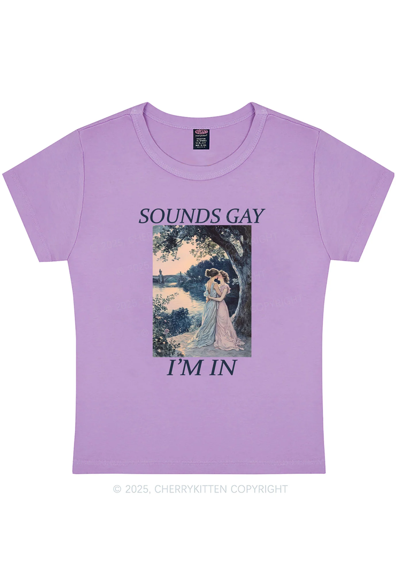 Sounds Gay Im In Pride Y2K Baby Tee Cherrykitten - Image 5