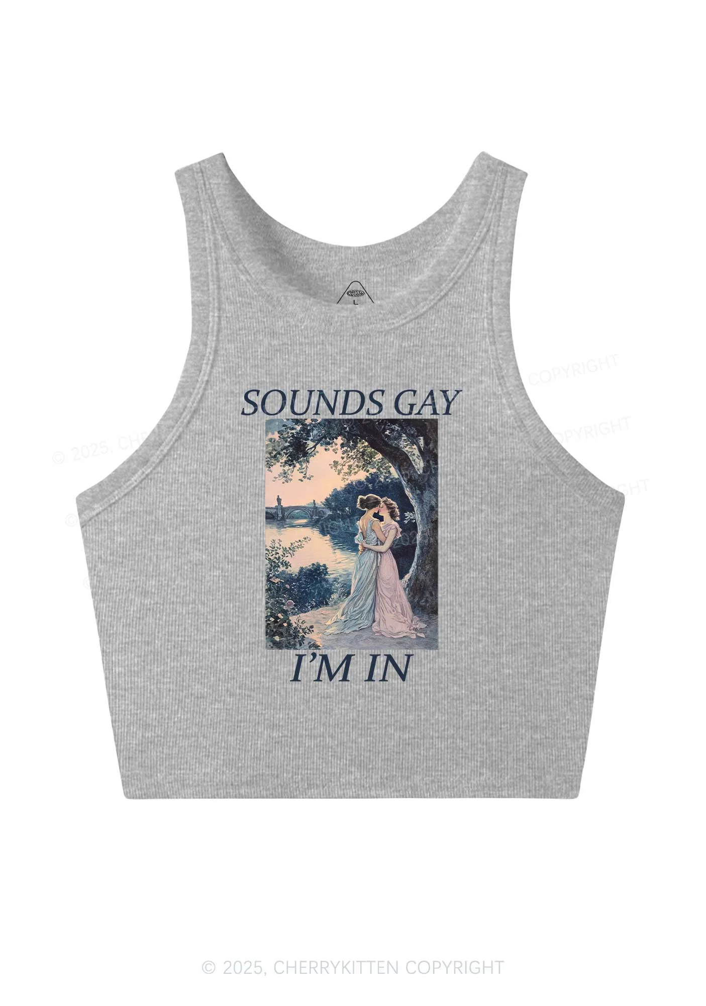 Sounds Gay Im In Pride Y2K Crop Tank Top Cherrykitten - Image 4