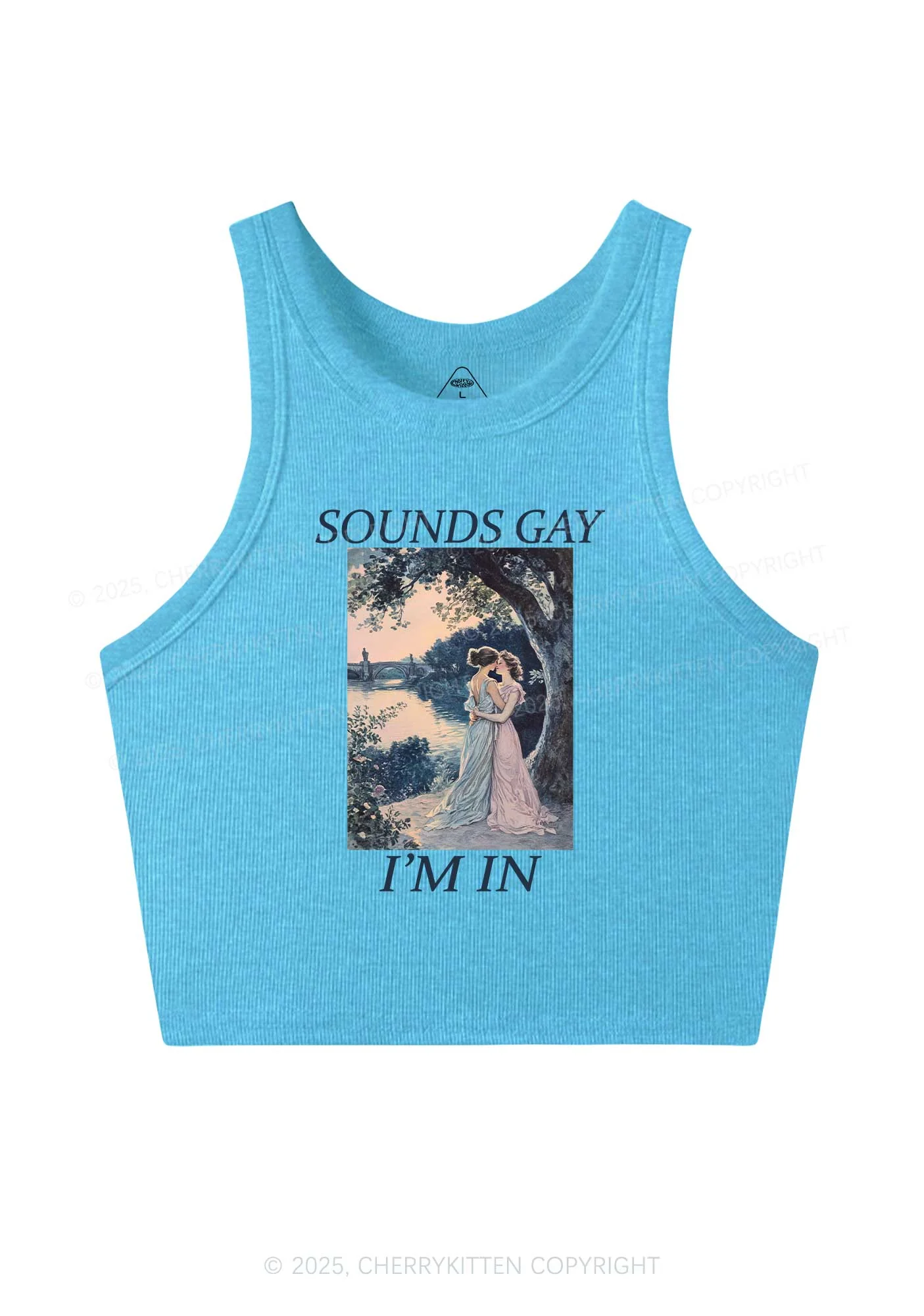 Sounds Gay Im In Pride Y2K Crop Tank Top Cherrykitten - Image 5