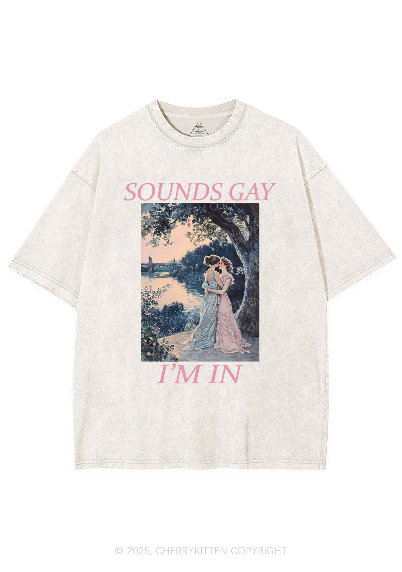 Sounds Gay Im In Pride Y2K Shirts Washed Tee Cherrykitten - Image 3