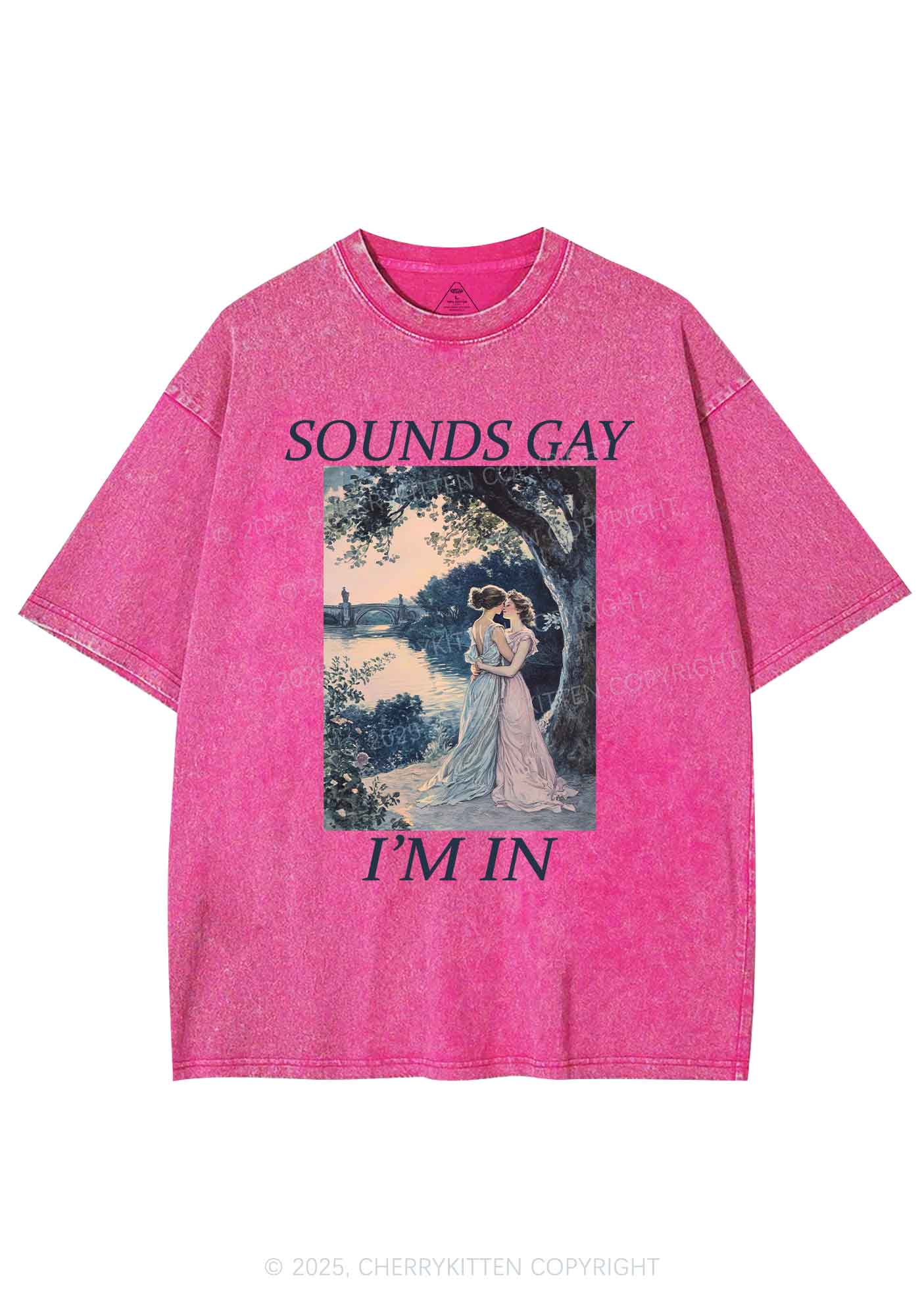 Sounds Gay Im In Pride Y2K Shirts Washed Tee Cherrykitten - Image 4