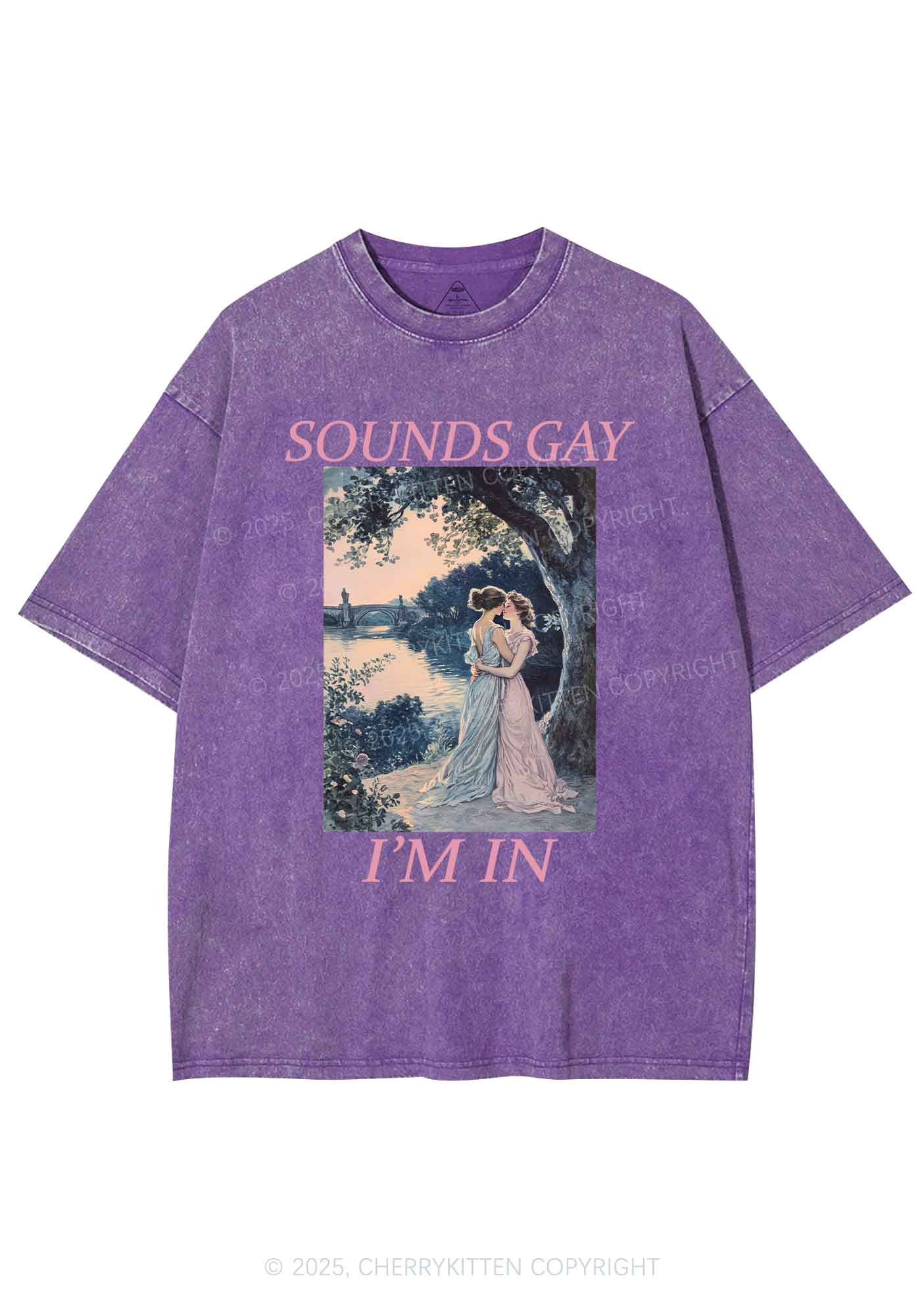 Sounds Gay Im In Pride Y2K Shirts Washed Tee Cherrykitten - Image 5
