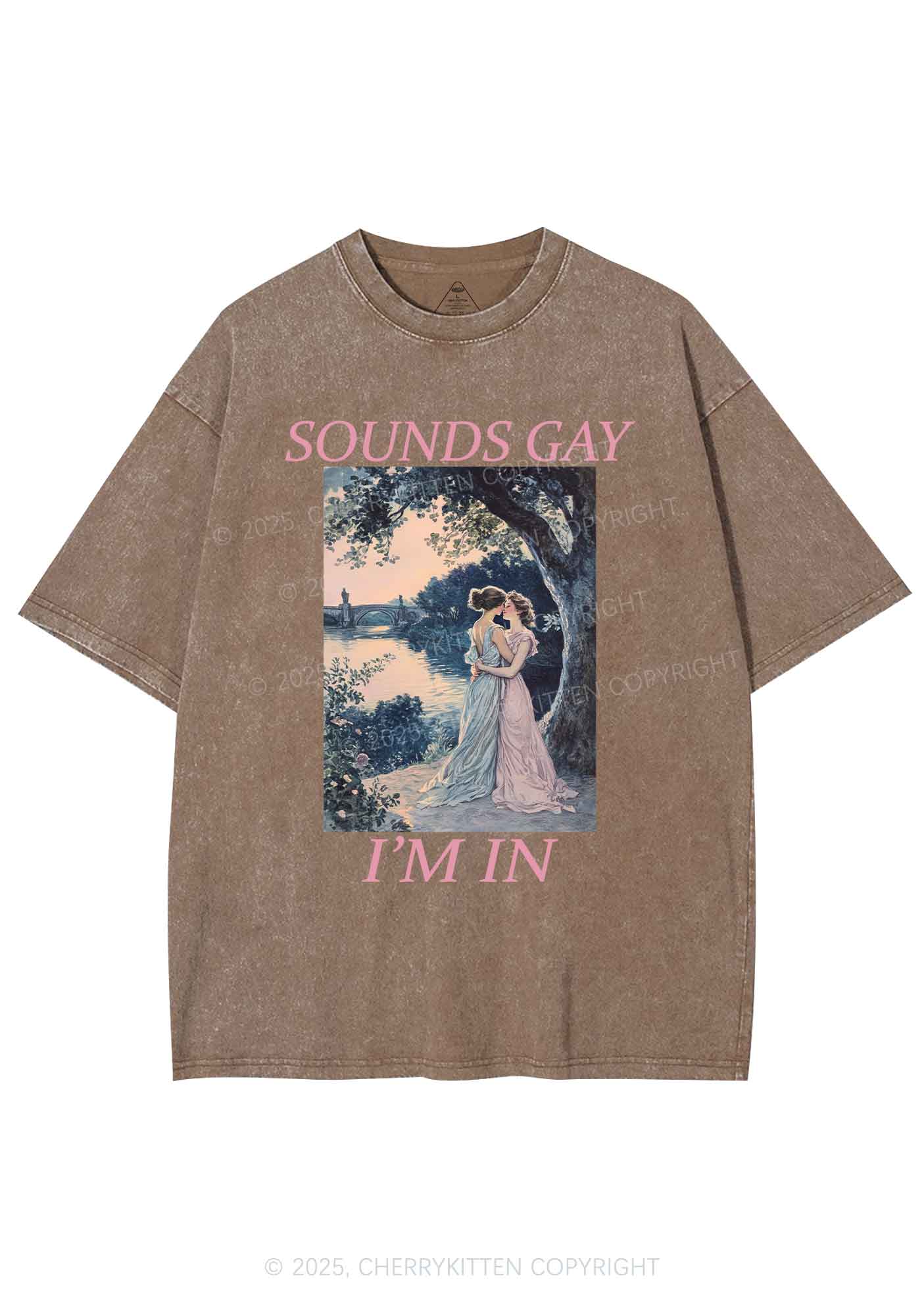 Sounds Gay Im In Pride Y2K Shirts Washed Tee Cherrykitten - Image 6