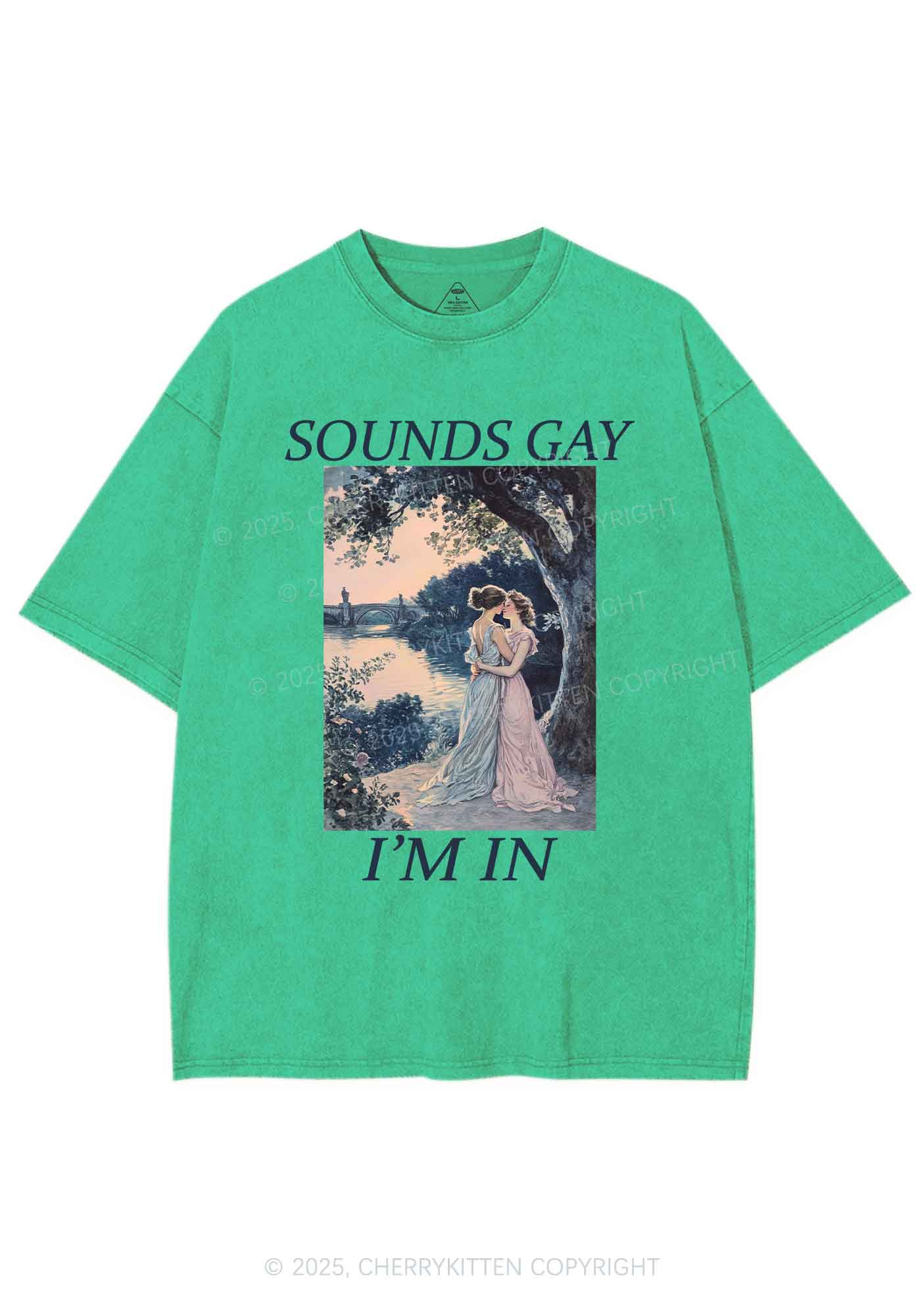 Sounds Gay Im In Pride Y2K Shirts Washed Tee Cherrykitten - Image 7