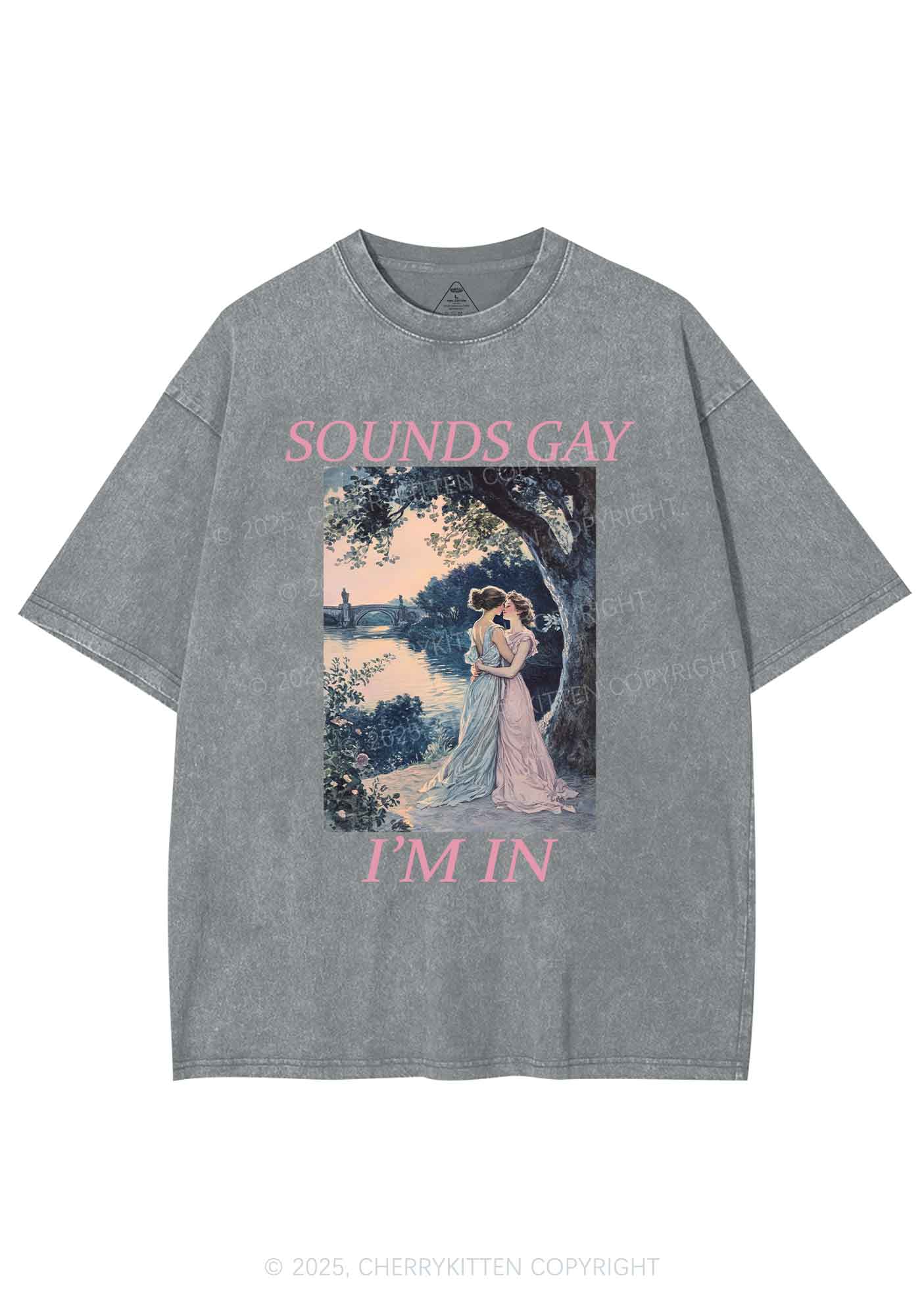 Sounds Gay Im In Pride Y2K Shirts Washed Tee Cherrykitten - Image 8