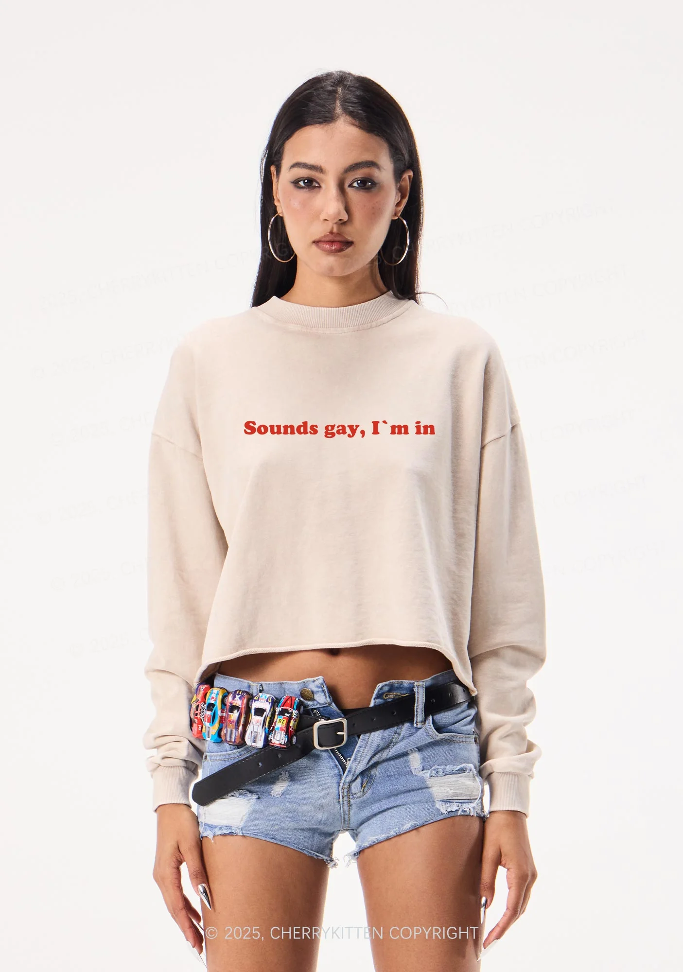 Sounds Gay Pride Y2K Crop Washed Sweatshirts Cherrykitten - Image 2