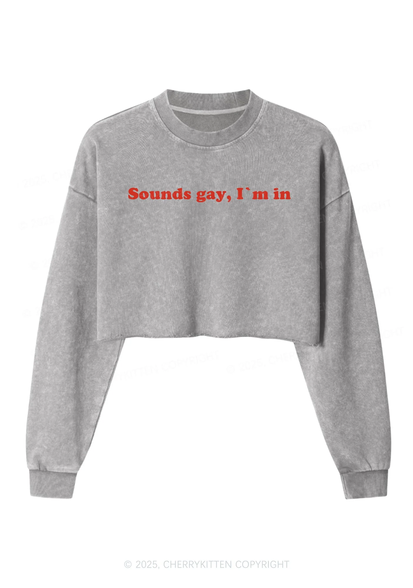 Sounds Gay Pride Y2K Crop Washed Sweatshirts Cherrykitten - Image 4