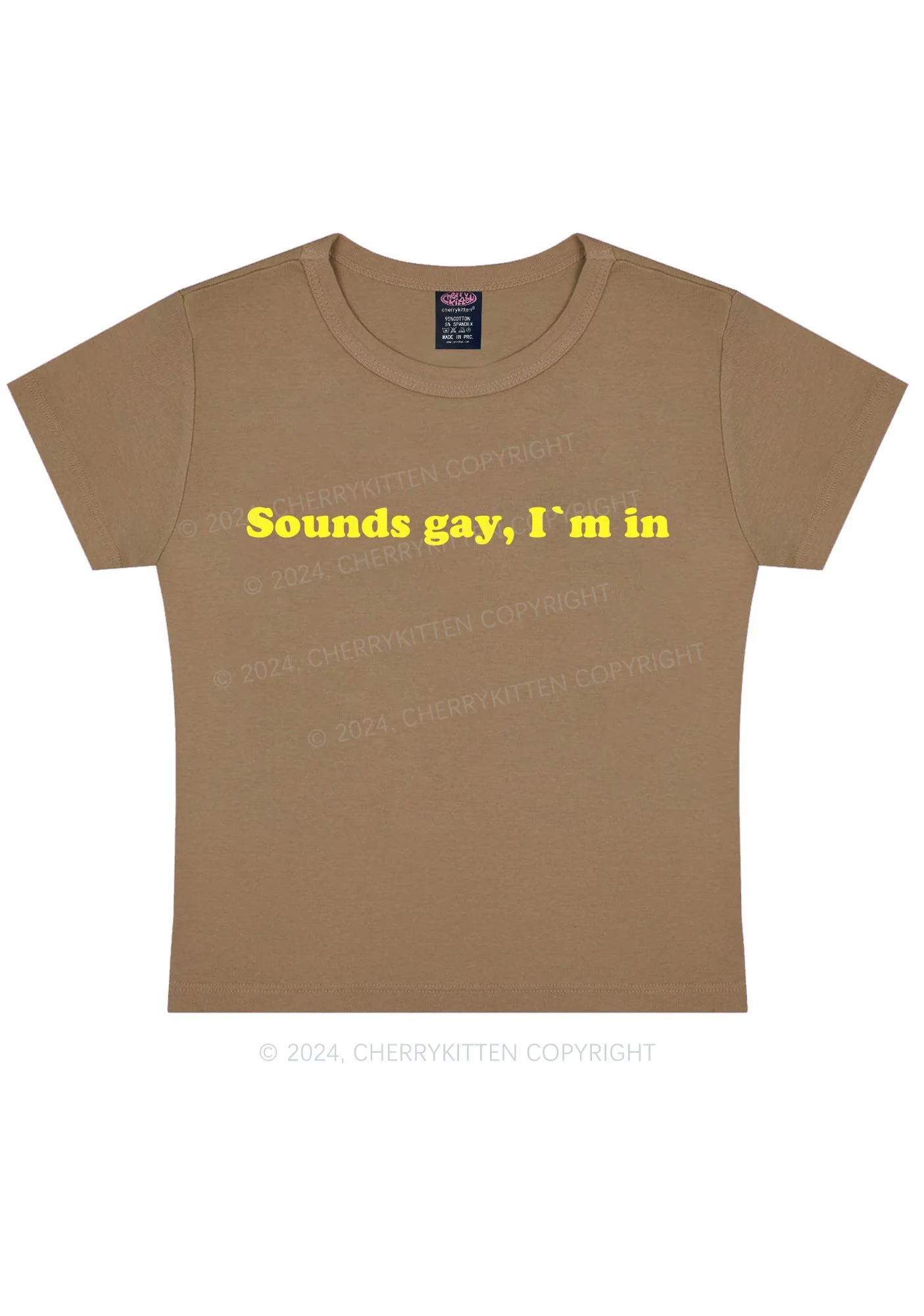 Sounds Gay Y2K Baby Tee Cherrykitten - Image 11